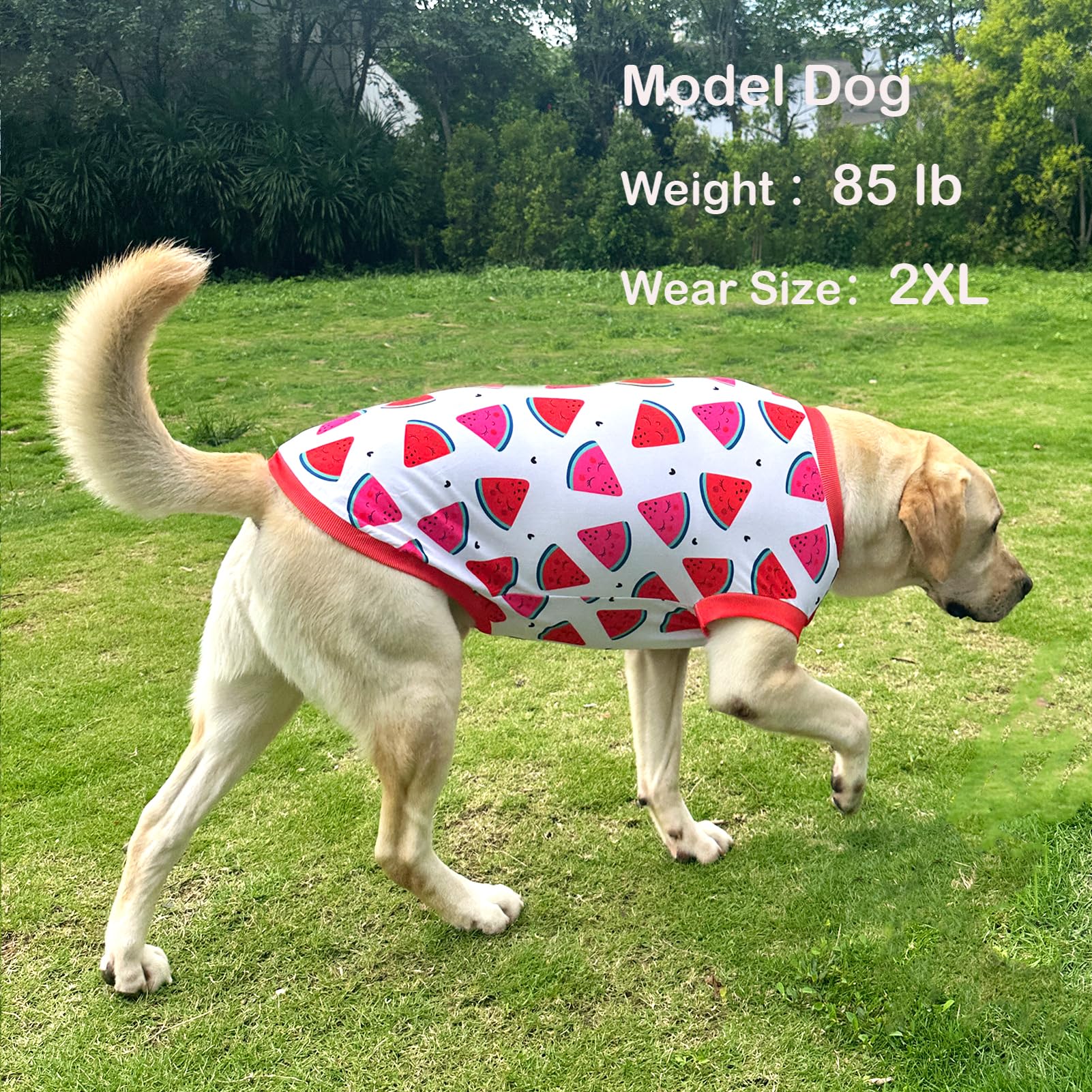 Dog Sleeveless T Shirt Fun Fruit Prints Dog Vest Shirt Soft Stretchy Summer Clothes for Extra Large Dog Boys Girls Shirt (3X-Lar