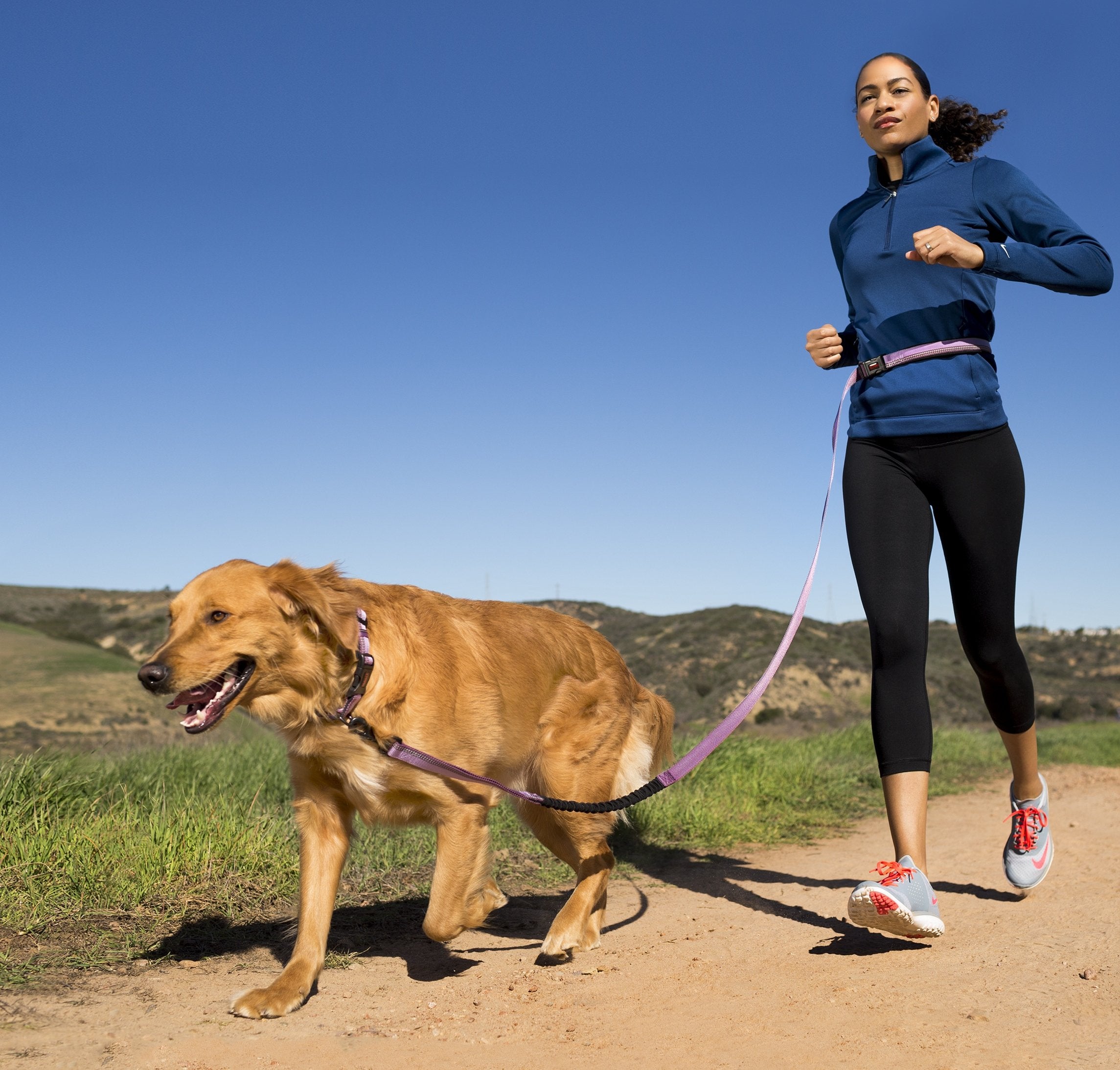 Halti Active Leash - Award-Winning Bungee Dog Leash, Shock-Absorbing, All-In-One Neoprene Padded Belt & Lead, Perfect For Running & Training With Medium & Large Dogs (Size Large, Blue)