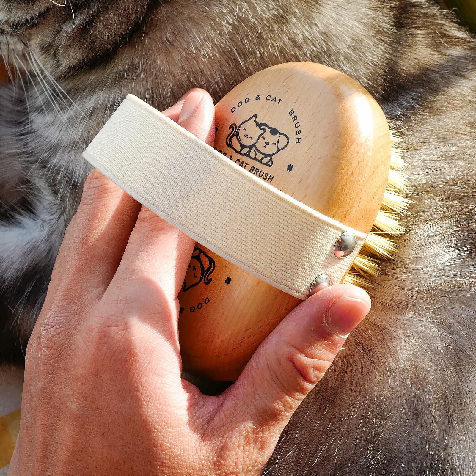 Menesia Soft Dog Brush, Pets Palm Brush For Dog And Cat Grooming - Bristle Brush For Dogs Short Haired - Soft Bristle Dog Brush