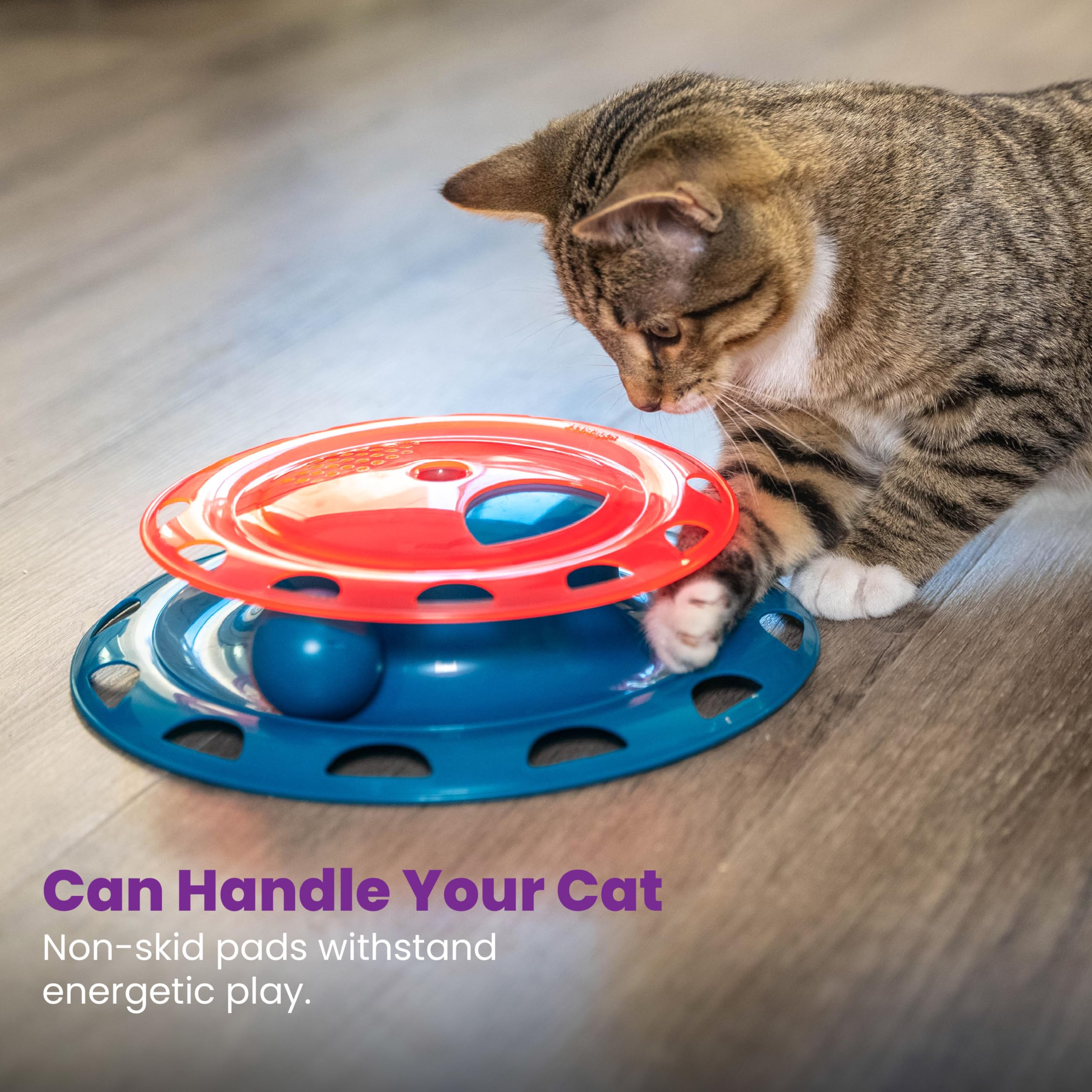 Catstages Catnip Chase Track Red And Blue Interactive Cat Toy, All Breed Sizes