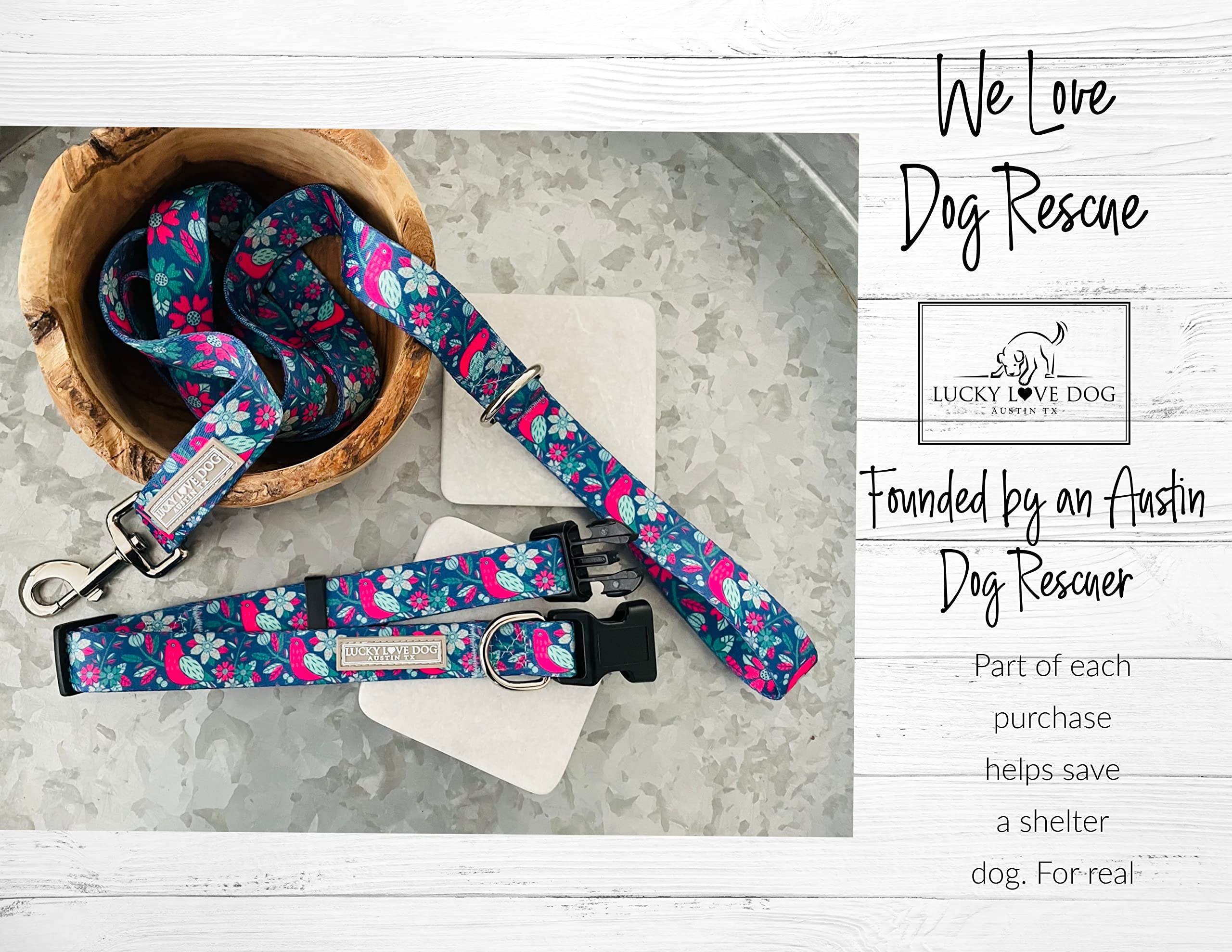 Lucky Love Dog, Whimsical Bird Dog Leash, Vivid Pink, Mint, Blue Flowers Large Leash For Female Male Dogs - (L, Carriebelle Leash)