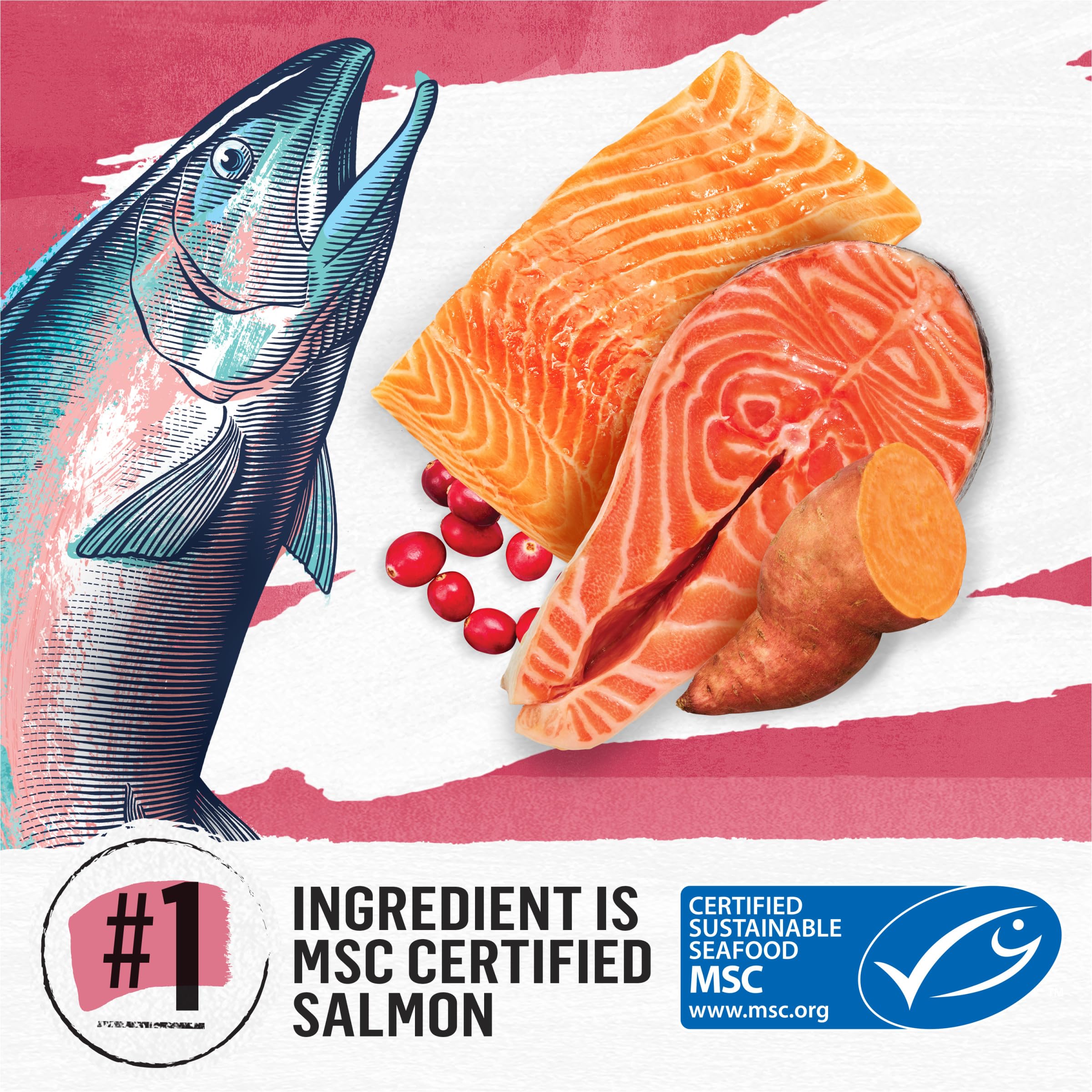 Purina Beyond Indoor Grain Free Salmon, Egg &amp; Sweet Potato Recipe Adult Dry Cat Food, 11 LB