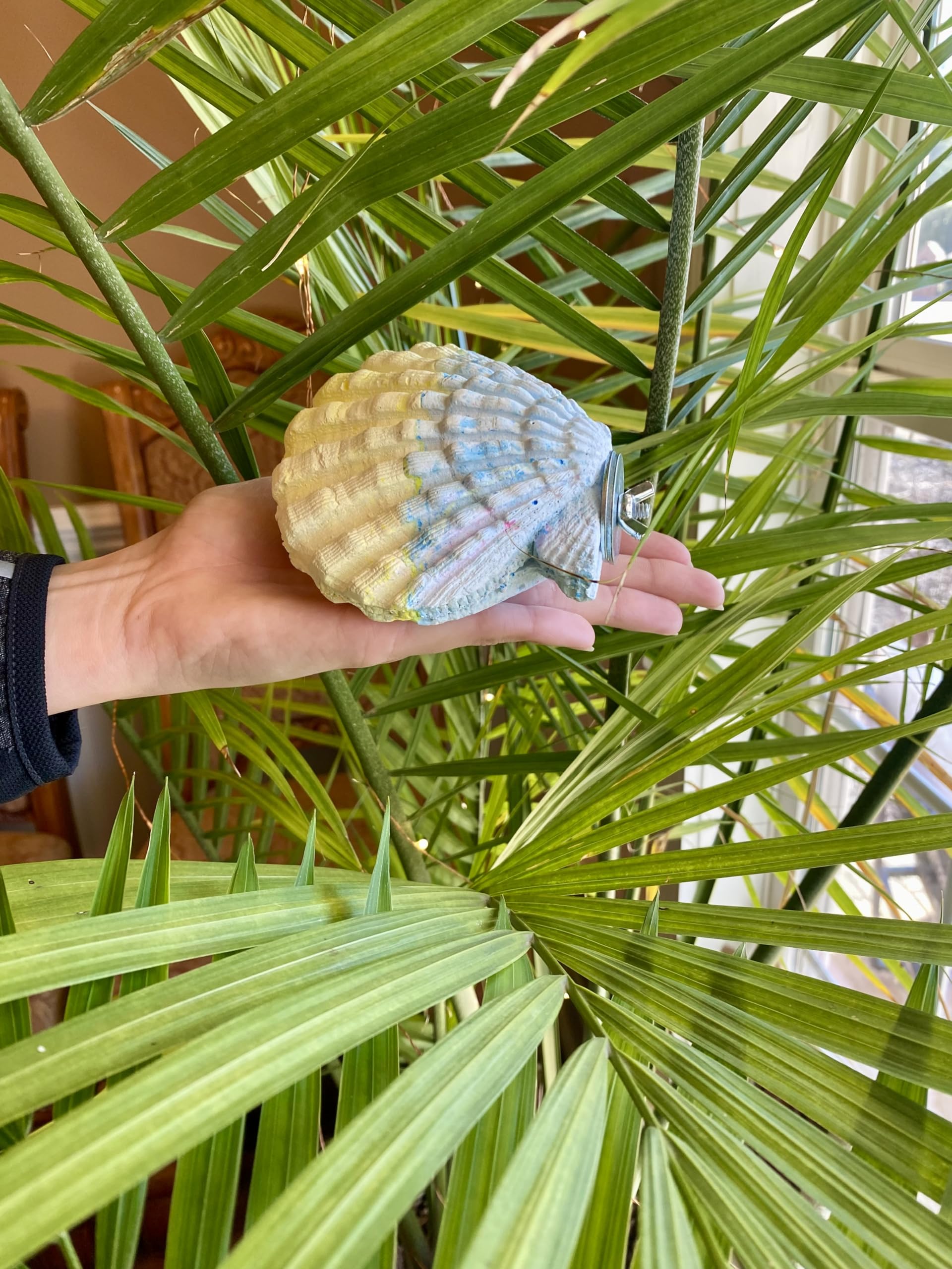 Polly'S Comfy Clam Parrot Cage Flat Bird Perch For Macaws, Parakeets, Cockatiels, African Greys, Amazons And More (Blue/Yellow, Small)