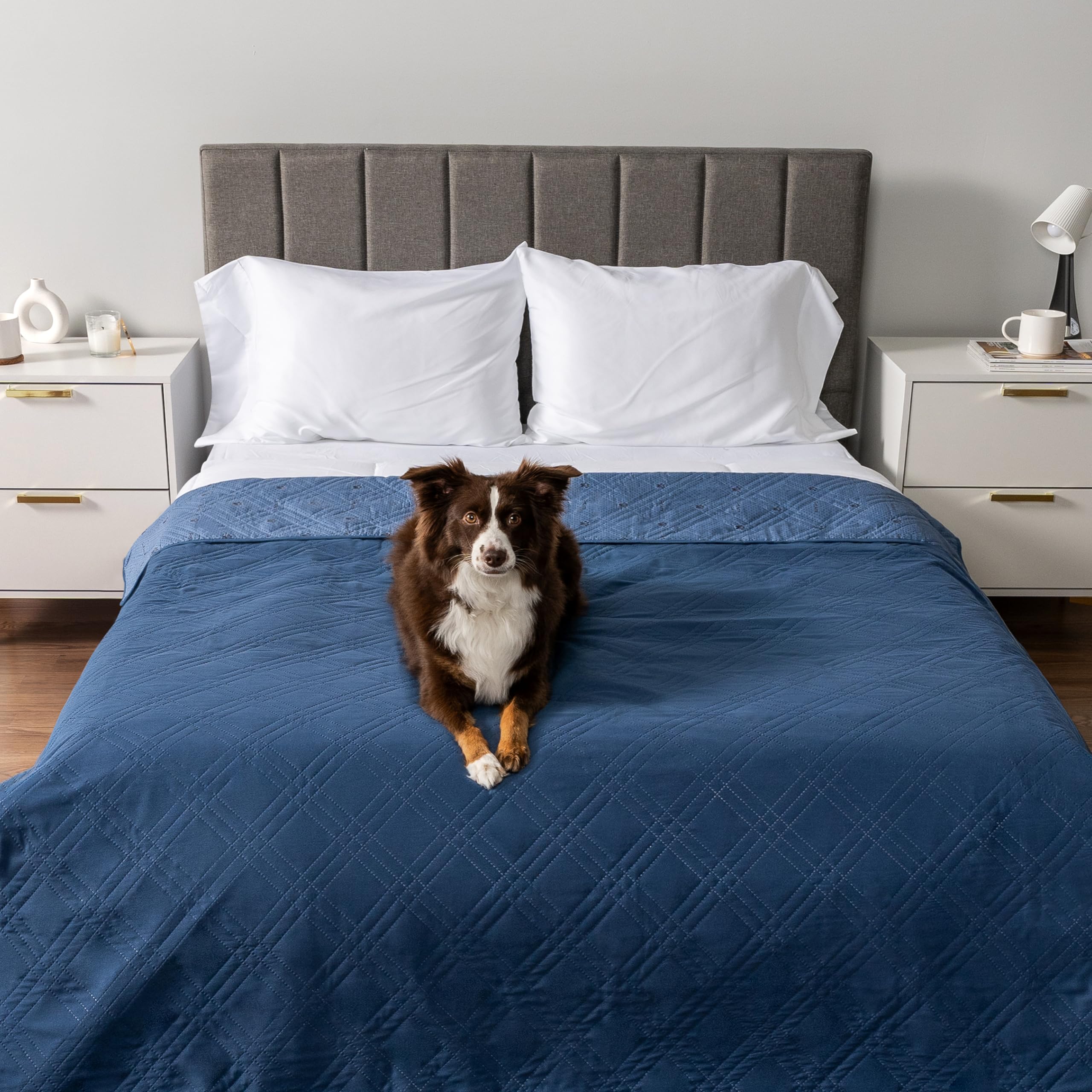 Petami Waterproof Bed Cover For Dogs, Waterproof Pet Blanket Couch Cover, Reversible Furniture Cover Sofa Protector For Pet Cat Bed, Washable Waterproof Blanket Dog Cover For Couch Seat, 102X82 Blue