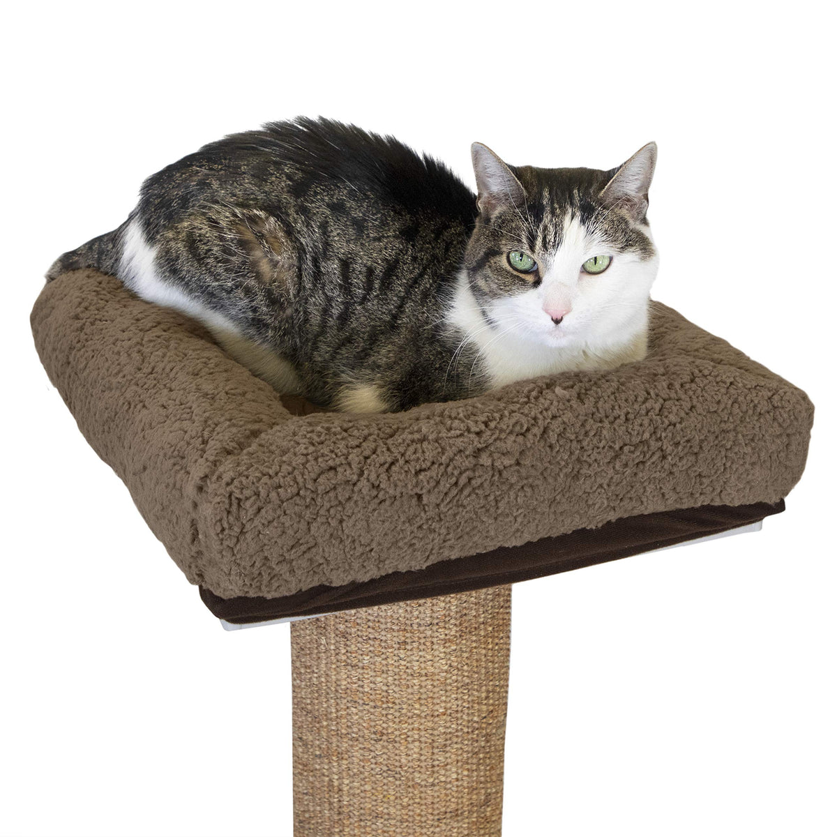 Kitty City Sisal Post Cat Scratchers And Cushion