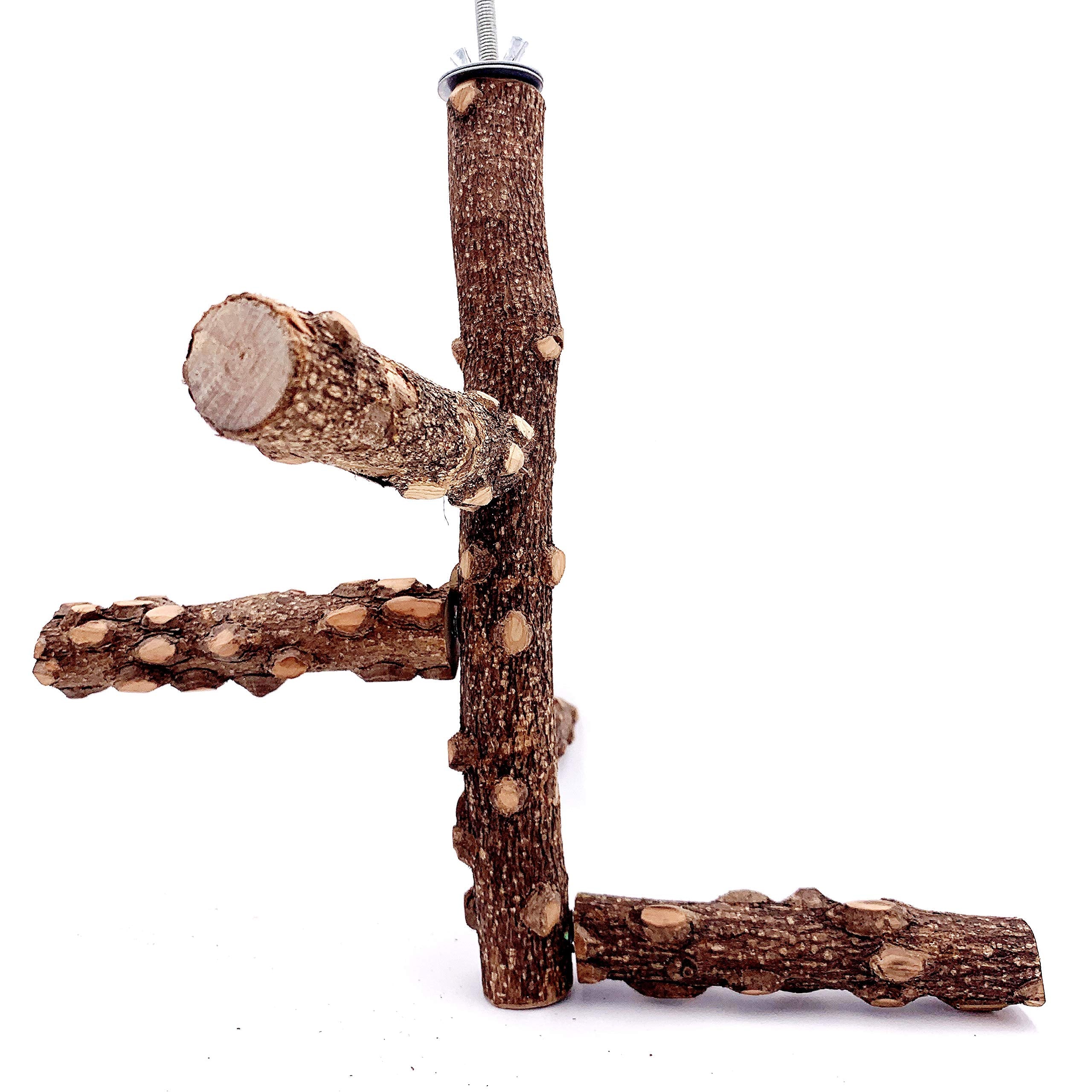 Borangs Bird Perch Natura Wood Stand Toy Branch For 3-4Pcs Small Medium Parrots Cages Toy S