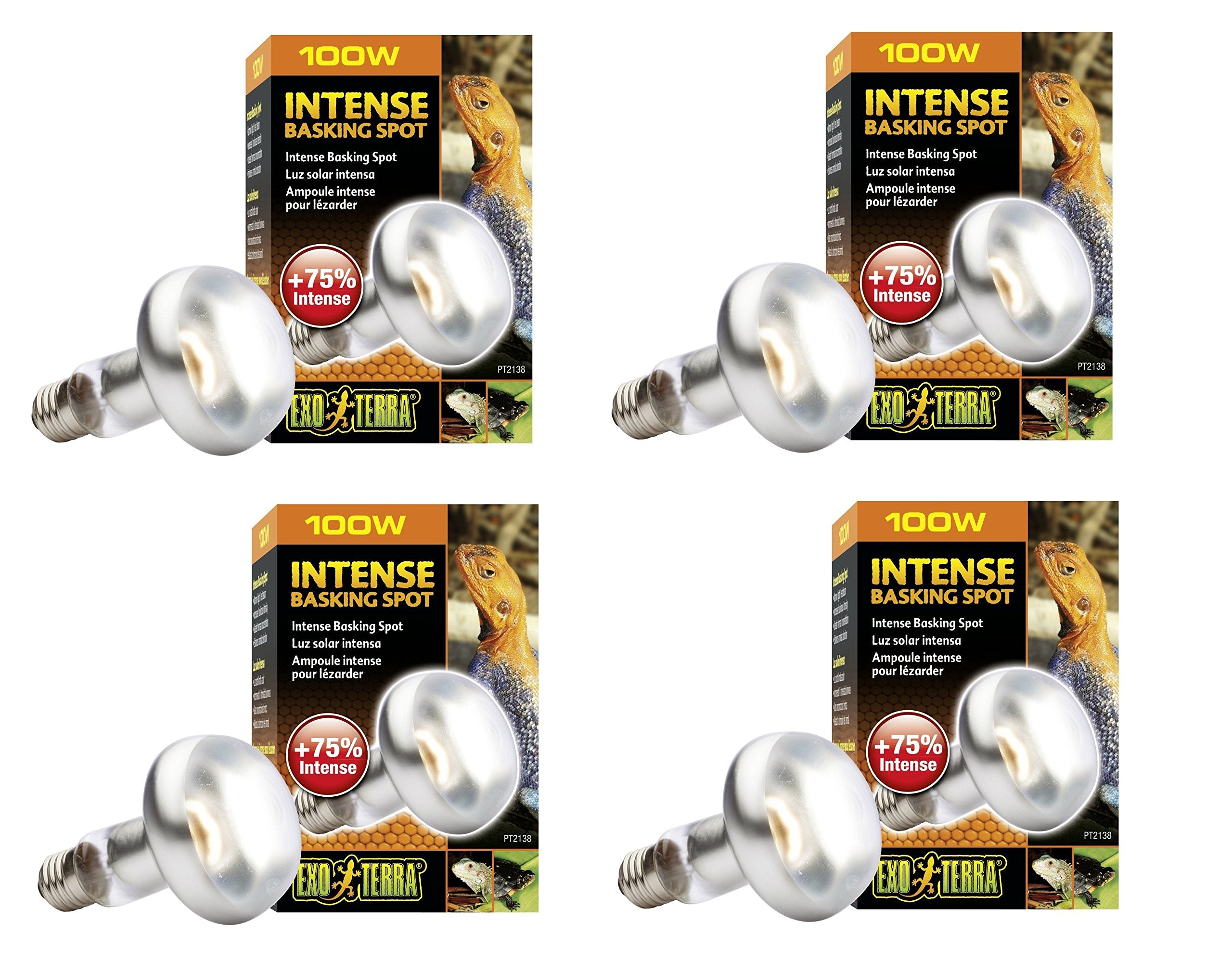 Exo Terra Sun-Glo Basking Infrared Spot Lamp, 100-Watt/120-Volt (4 Pack)