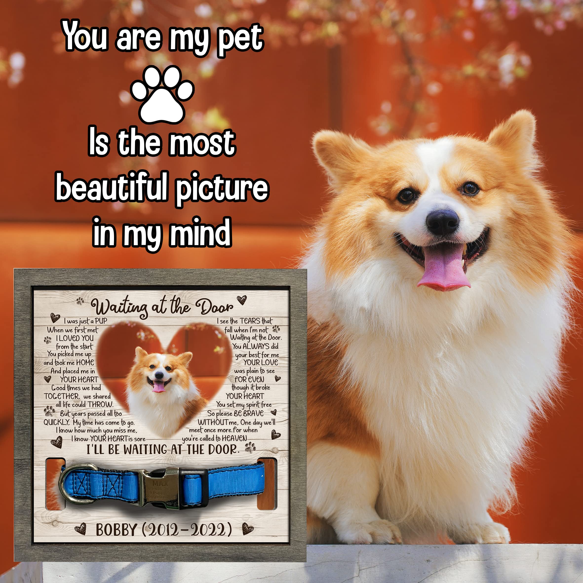 Bfigift Personalized Pet Memorial Gifts Dog Memory Gifts Dog Memorial Frame Dog Died Sympathy Gift Dog Memorial Plaques Personalized For Pet That Passed Cat Memorial Picture Frame Best Dog Ever Gifts