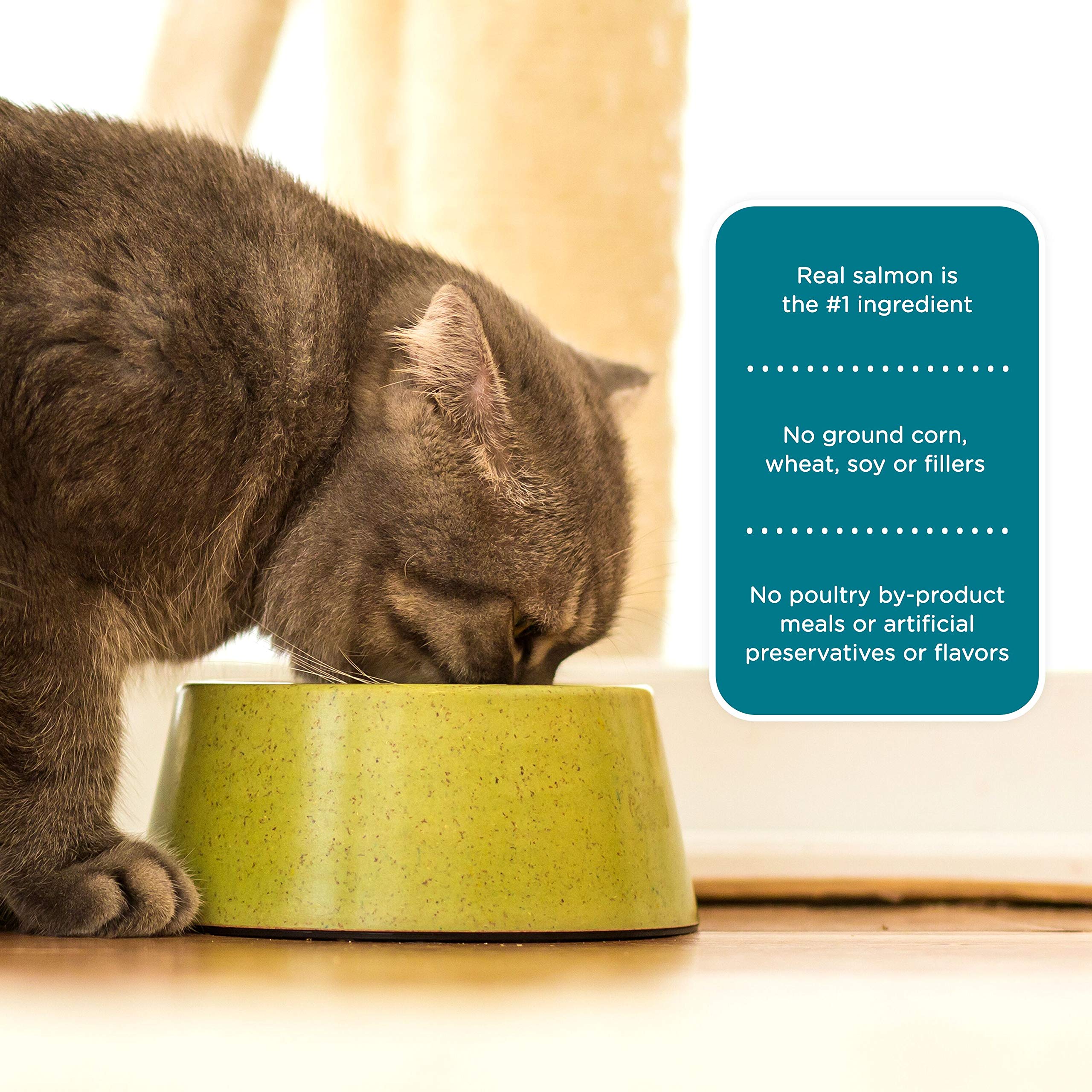 Rachael Ray Nutrish Premium Natural Dry Cat Food, Real Salmon & Brown Rice Recipe, 6 Pounds (Packaging May Vary)