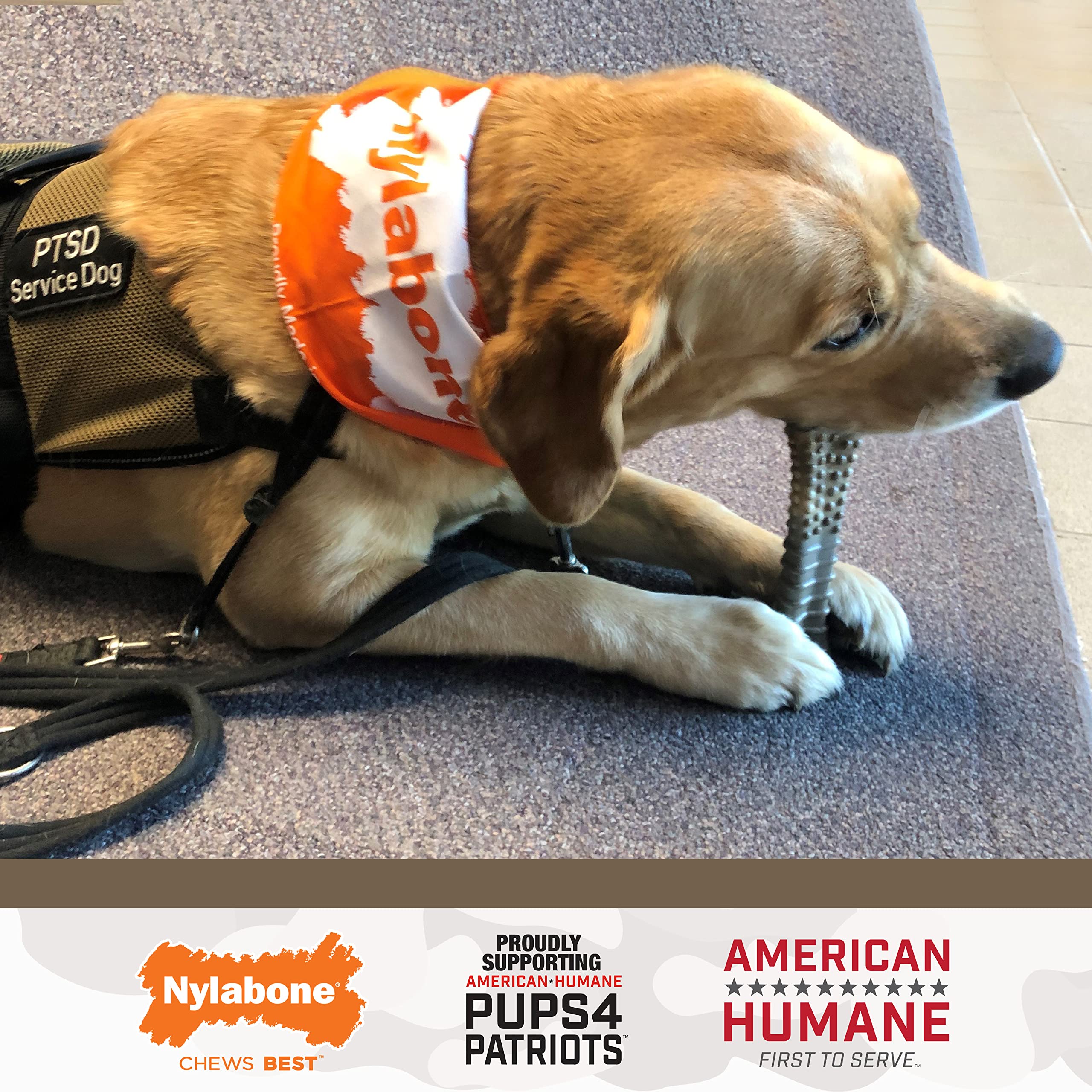 Nylabone Power Chew Camo Dog Toy - Dog Toys For Aggressive Chewers - Indestructible Dog Toys For Aggressive Chewers Large Breed - For Extra Large Dogs - Chicken Flavor X-Large/Souper - 50+ Lbs.