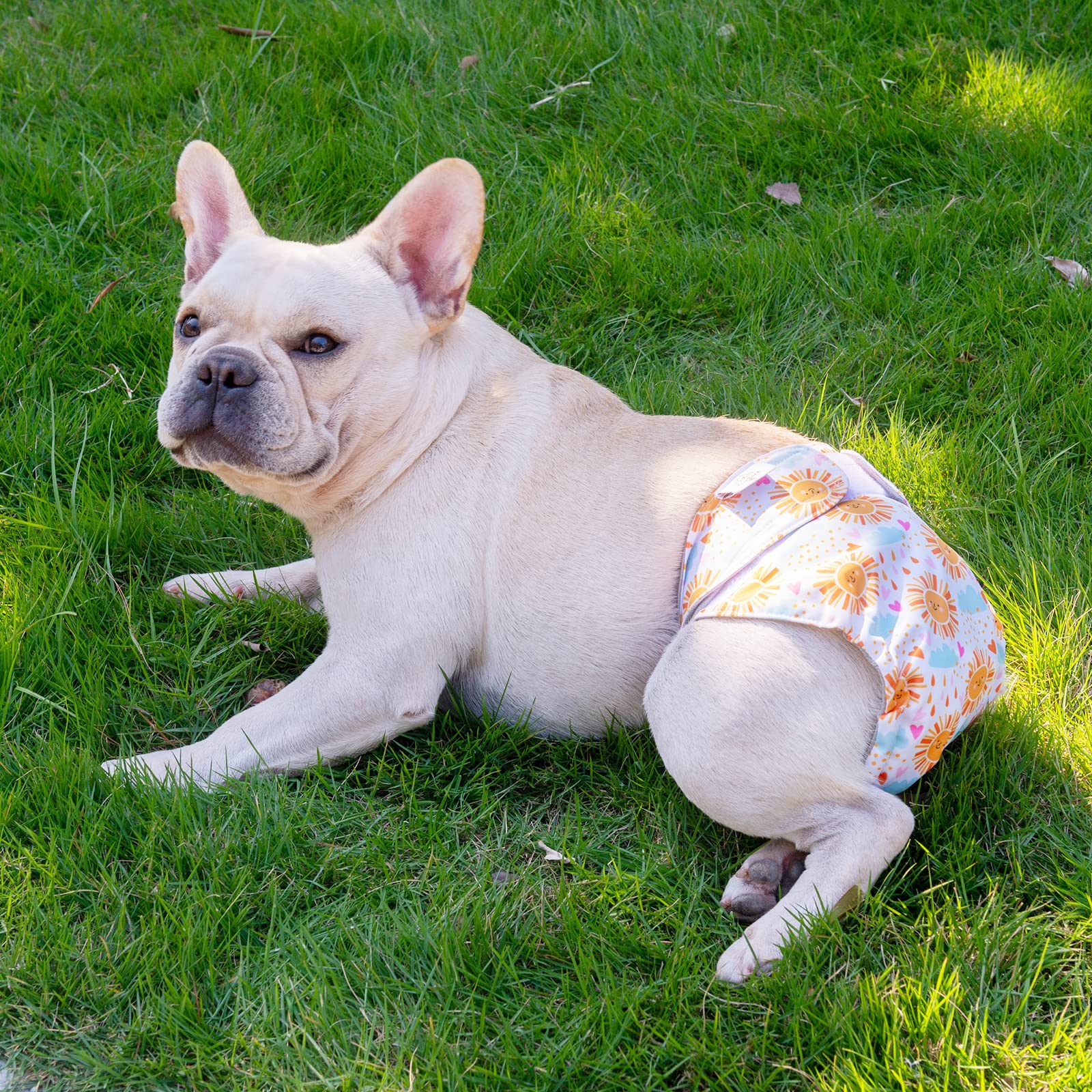 Cutebone Female Dog Diapers No Tail Hole 3 Pack Puppy Training Pants For Docked-Tail Dogs Wwd05S