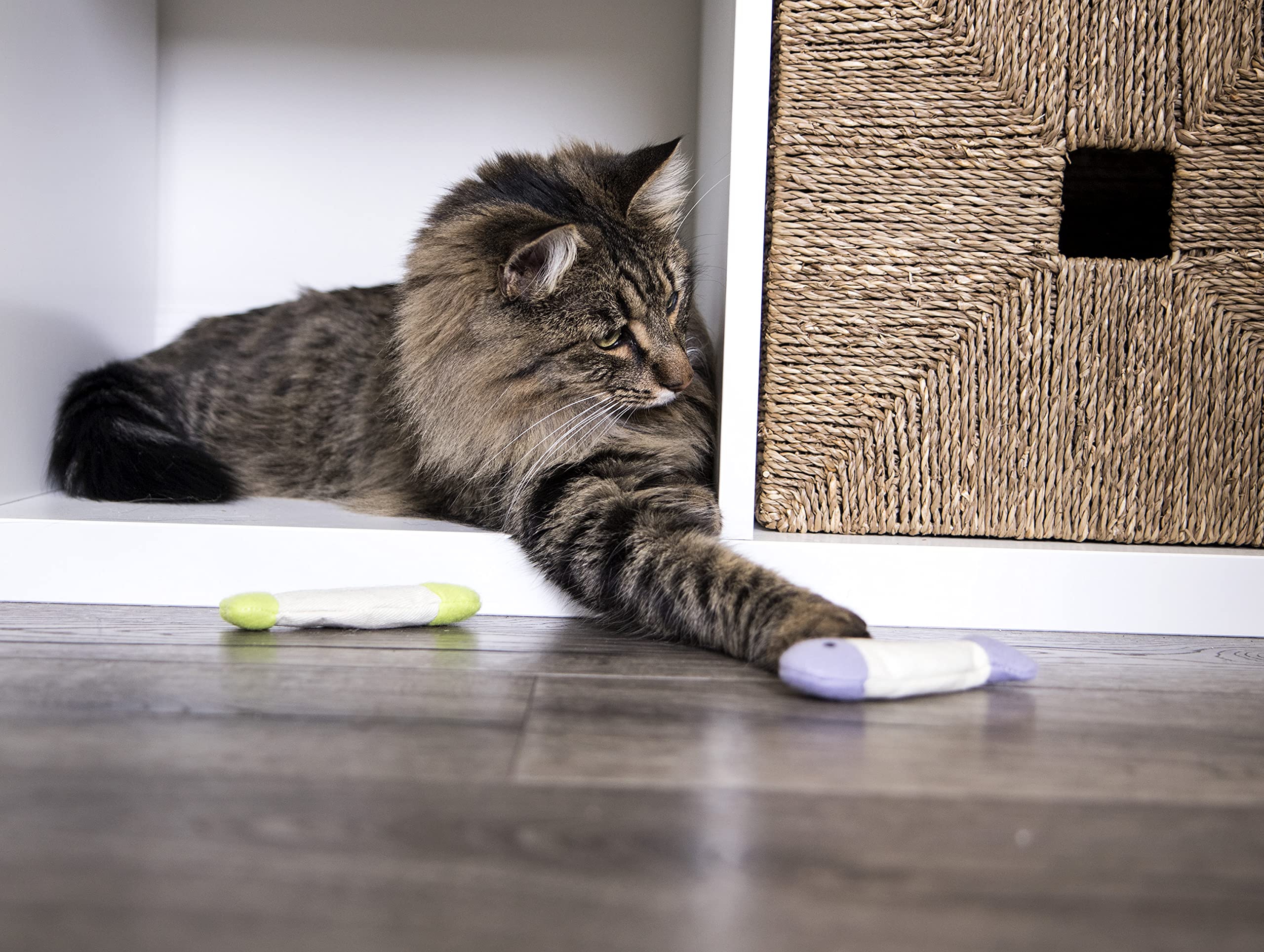 Smartykat (9 Count Fish Flop Crinkle Catnip Cat Toys - Multi Color, 9 Count