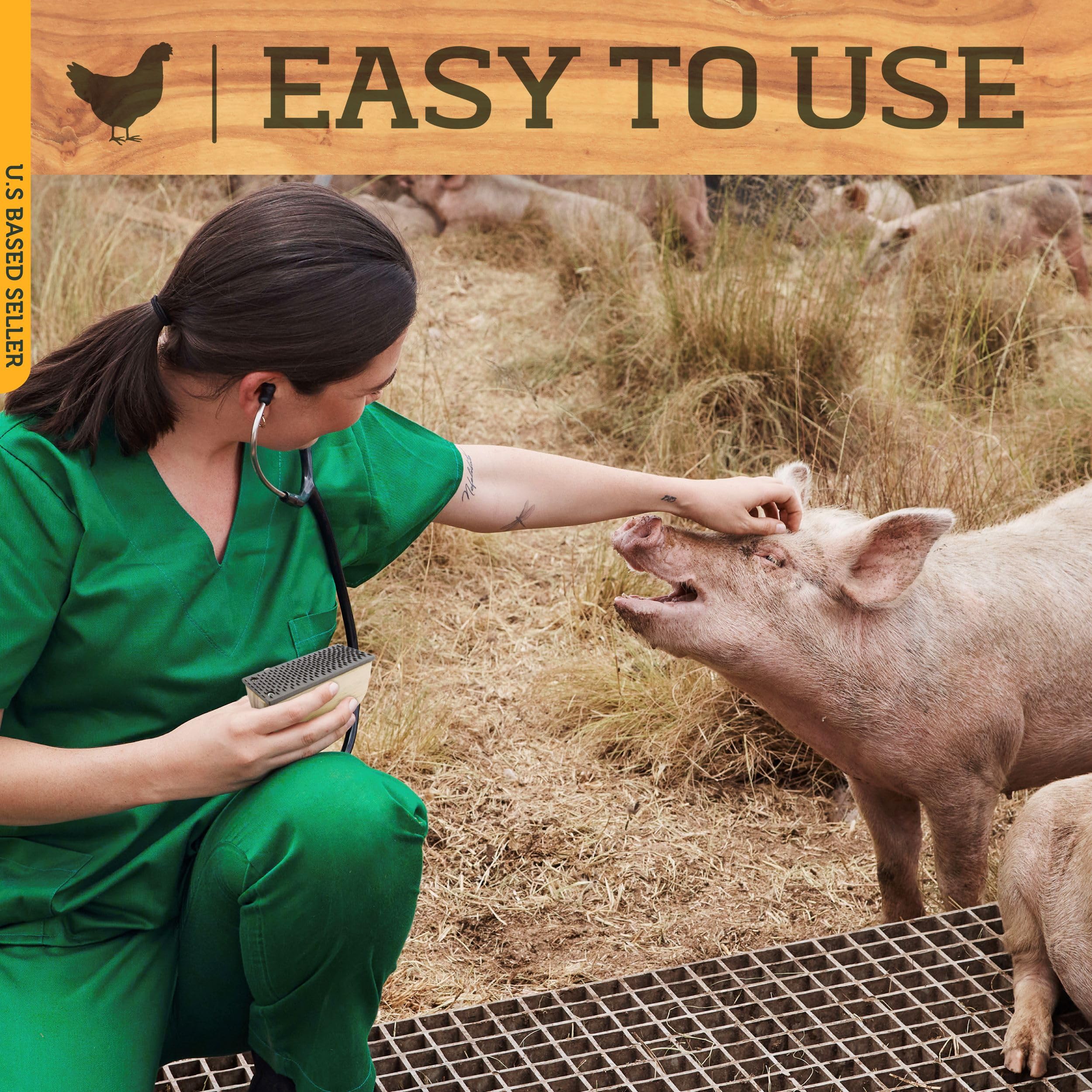 Rural365 Farrier Rasp With Wooden Handle, Mini Hoof Rasp File – Farrier Supplies For Miniature Horse, Pigs, Goats