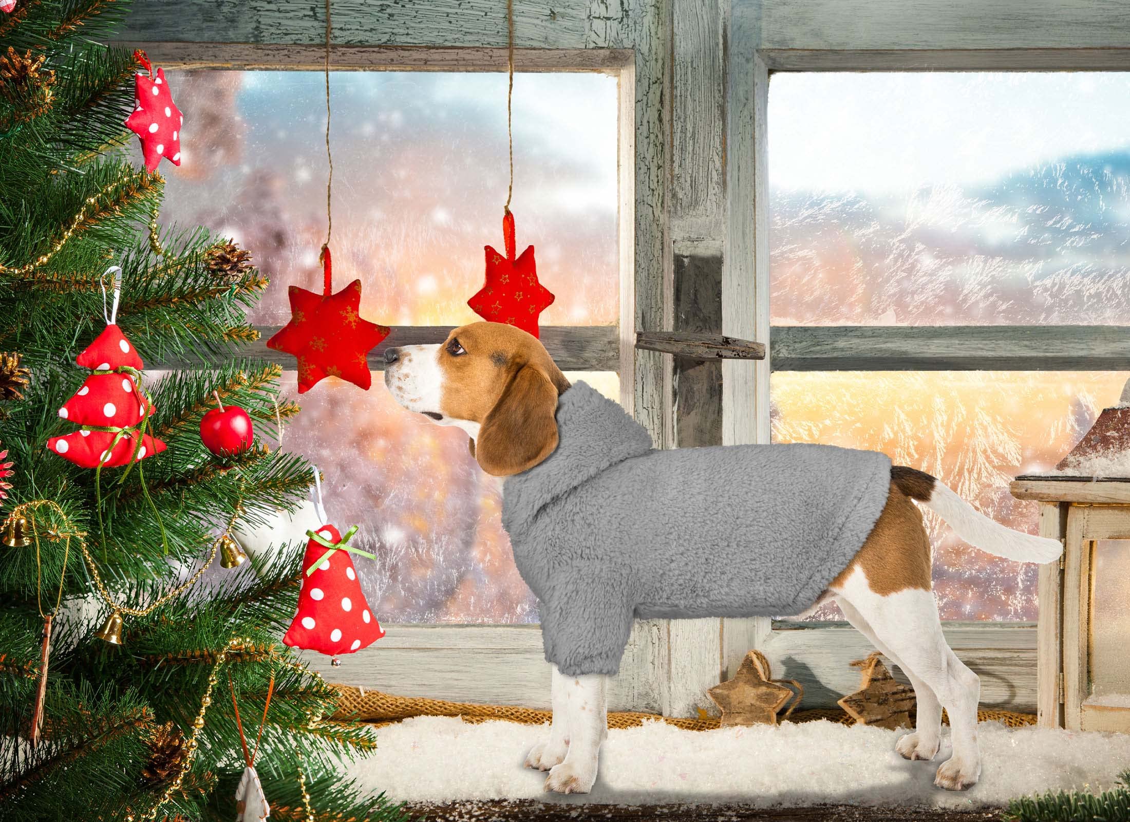 Fuzzy Warm Soft Cozy Grey Dog Coats - Small Dog Hoodies(Grey-Xs) By Fuzzy