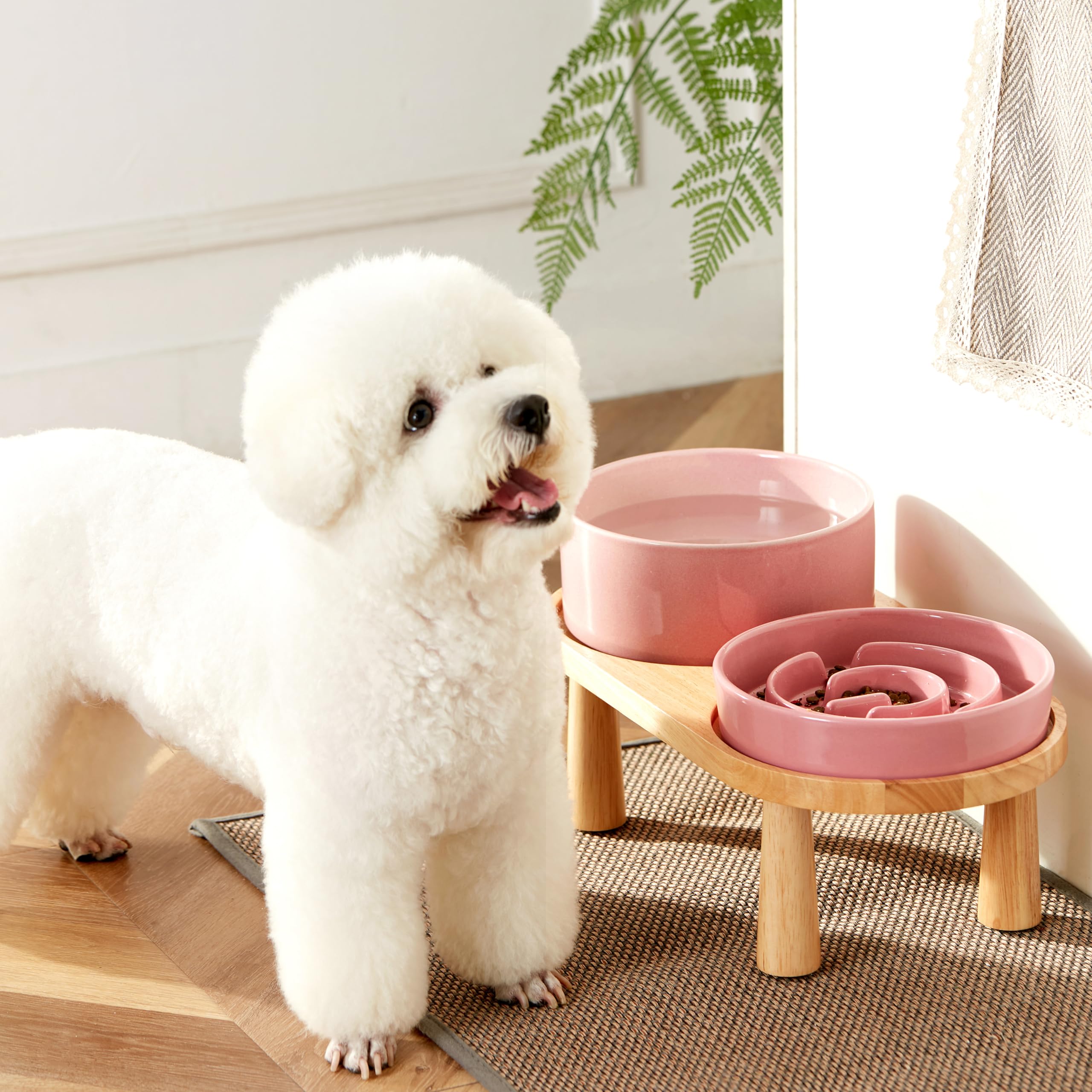 MOPANG Ceramic Slow Feeder and Water Bowl Set for Small Dogs, Ceramic Dog Bowls Elevated with Wooden Stand, 0.6 Cups Dog Slow Fe