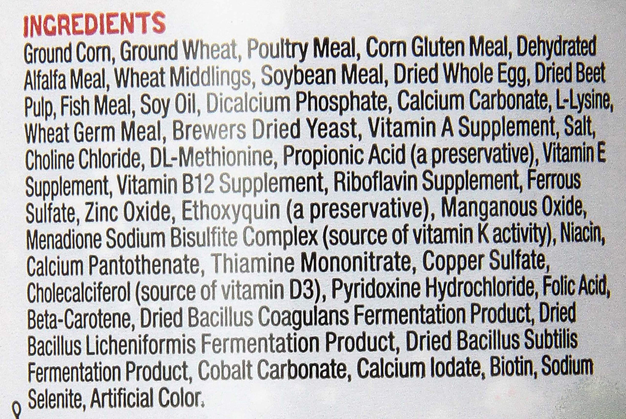 Zilla Fortified Food for Bearded Dragons
