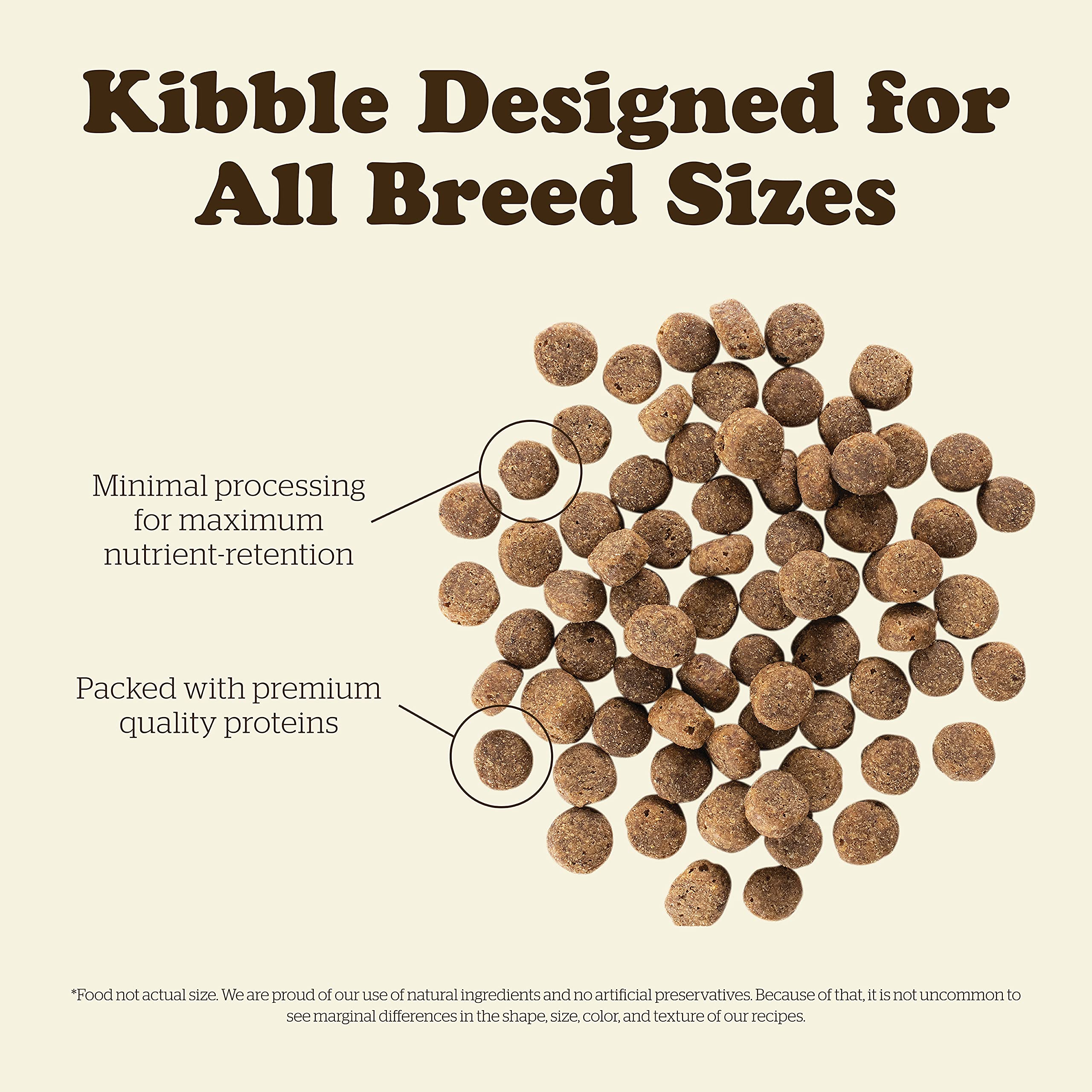 Now Fresh Grain-Free, Dry Dog Food, Real Meat and Fish, Turkey, Salmon and Duck Senior Recipe, All Breed Size, 3.5 lb Bag