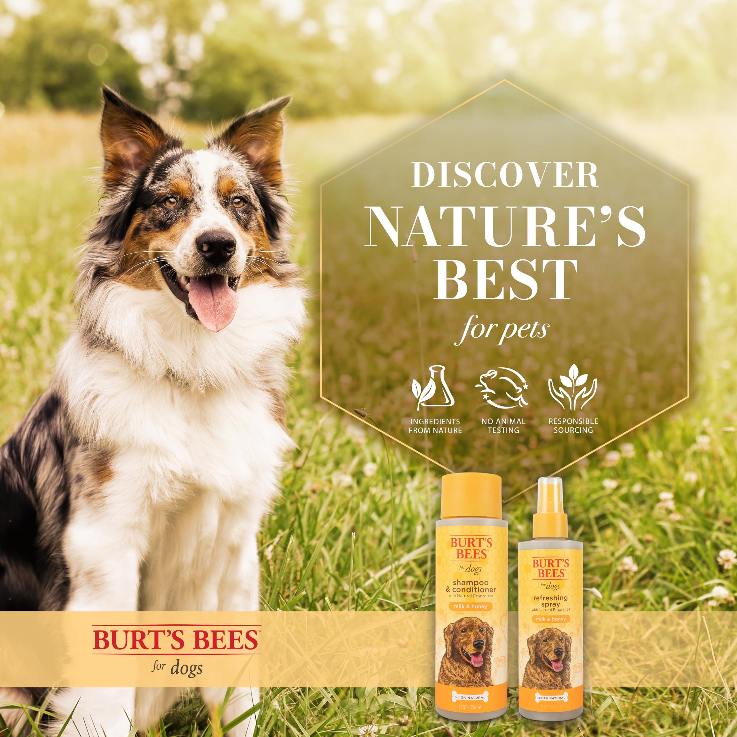 Burt'S Bees For Pets Naturally Derived Deodorizing Spray For Dogs With Milk & Honey - Eliminates Dog Odors - Ph Balanced For Dog