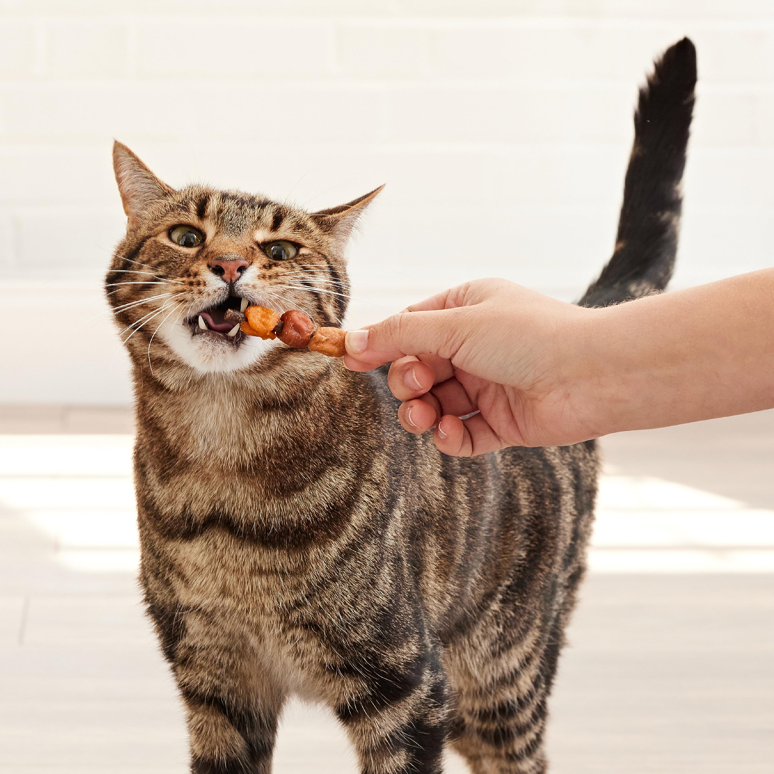 Good n Tasty Triple Flavor Kabobs Cat Treat, 3 Ounce, Long-Lasting Playtime Treat for Cats Made with Real Chicken, Salmon & Tuna