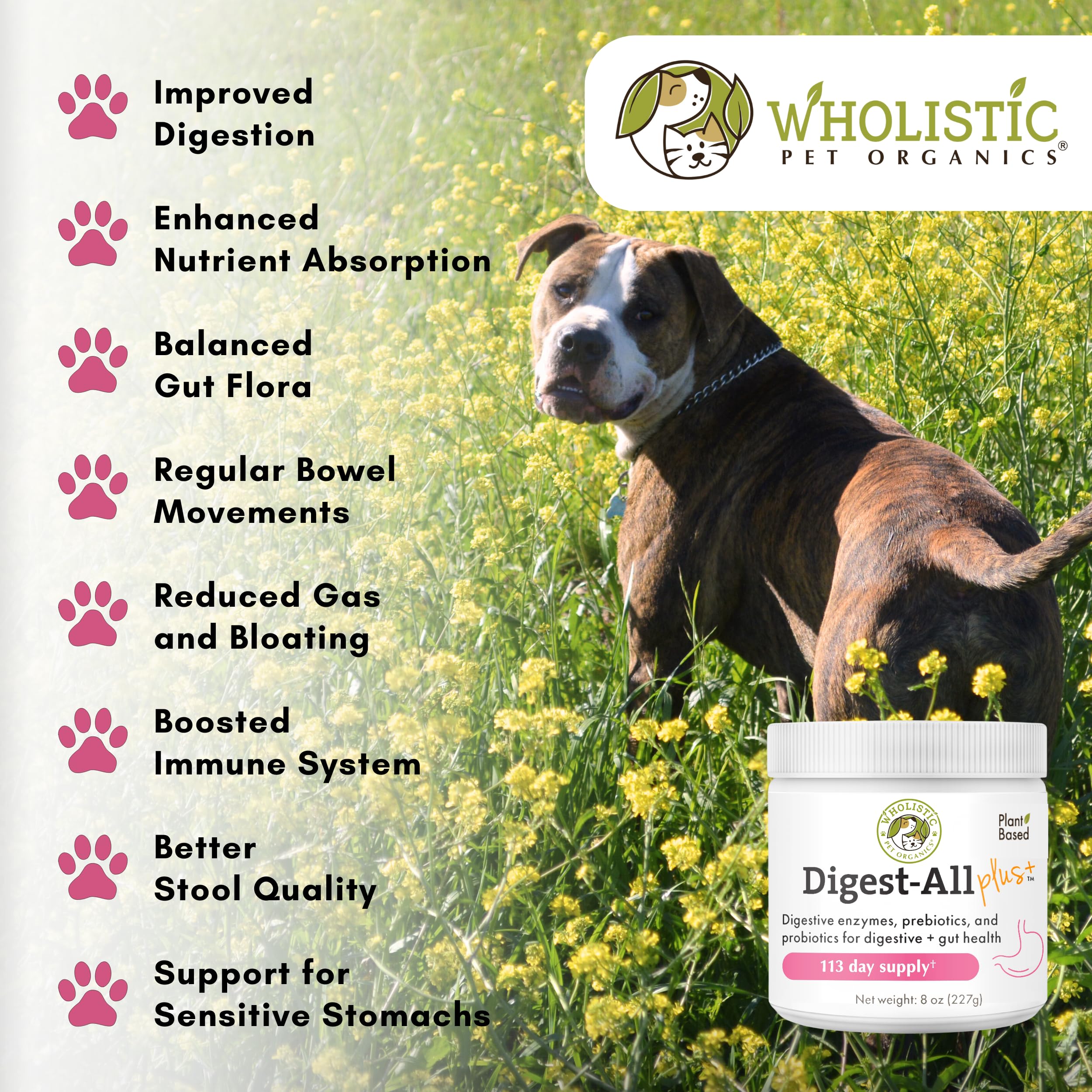 Wholistic Pet Organics Probiotics for Dogs with Digestive Enzymes & Prebiotic Fiber - 8 Oz - Daily Cat & Dog Probiotics for Dige