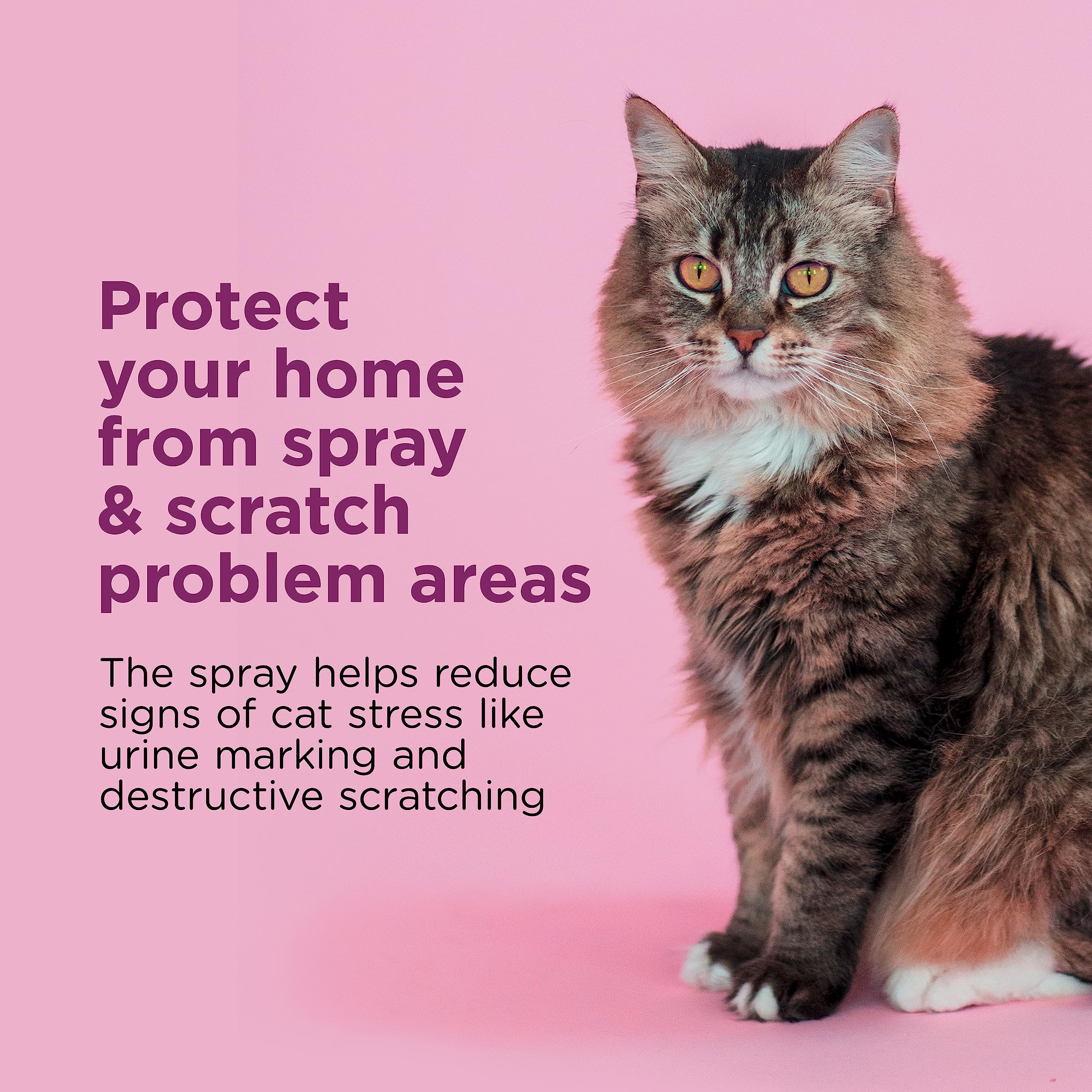 Comfort Zone Cat Spray & Scratch Control Spray 2 oz - Pack of 10