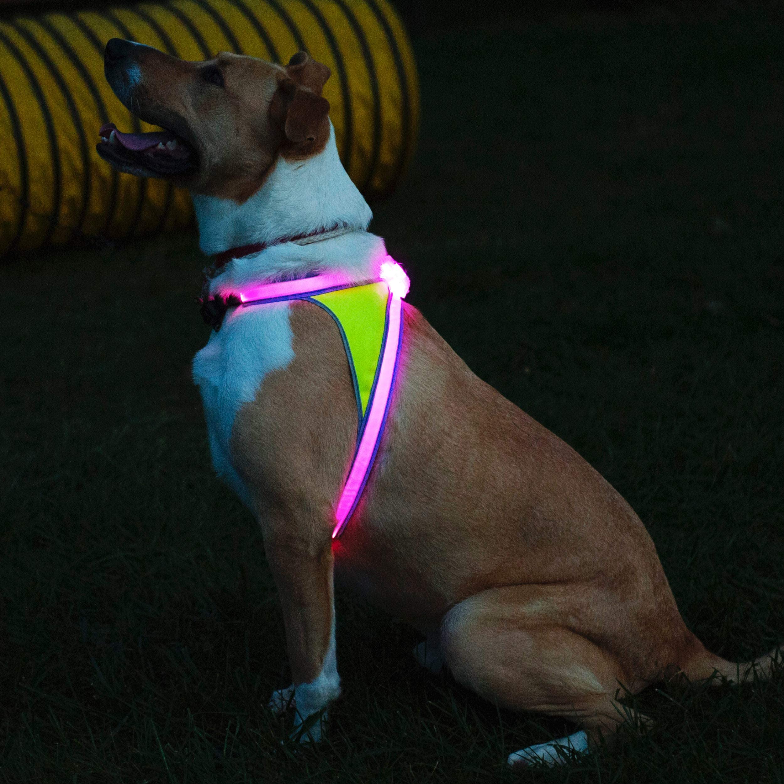 Noxgear Lighthound – Revolutionary Illuminated And Reflective Harness For Dogs Including Multicolored Led Fiber Optics (Usb Rechargeable, Adjustable, Lightweight, Rainproof) (Large)