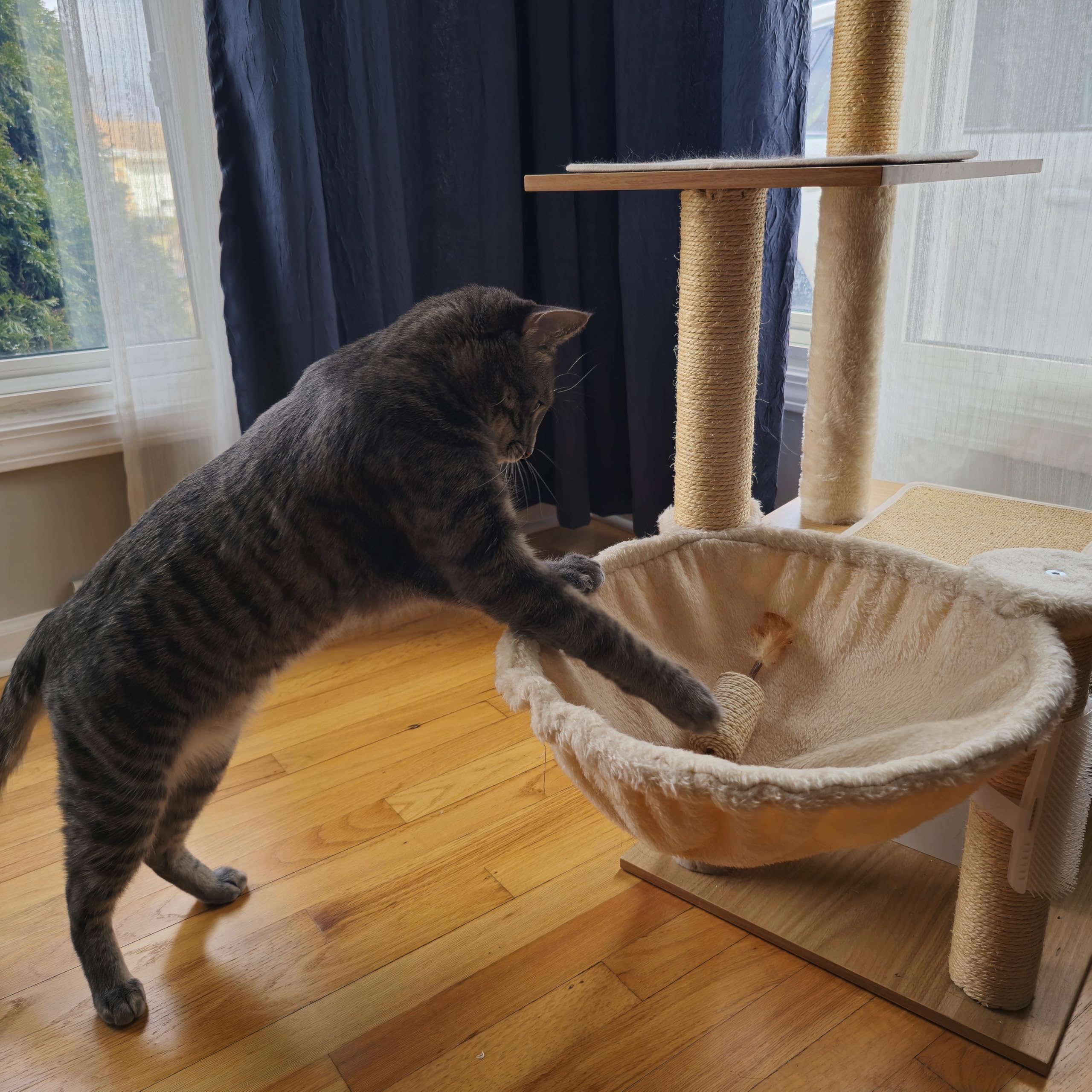 Spot Naturals Silver Vine Cat Toy ?Natural Interactive Enrichment For Cats, Stimulates Play And Reduces Stress, Durable And Safe, Perfect For Indoor Cats And Kittens, Assorted Styles, 1 Piece