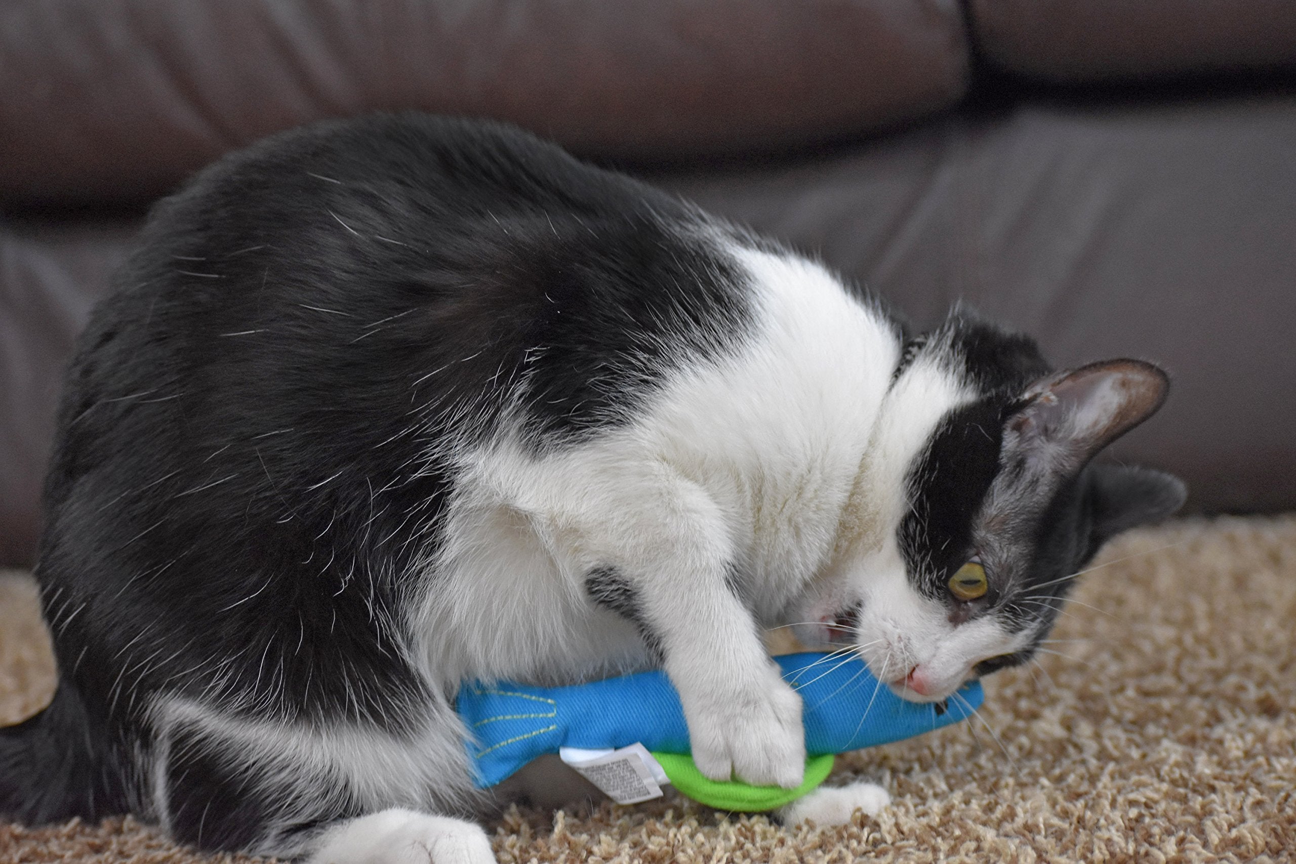 Our Pets 100-Percent North American Catnip Filled Fish Cat Toy (Interactive Cat Chew Toy), Annette (1050011546) -Like New