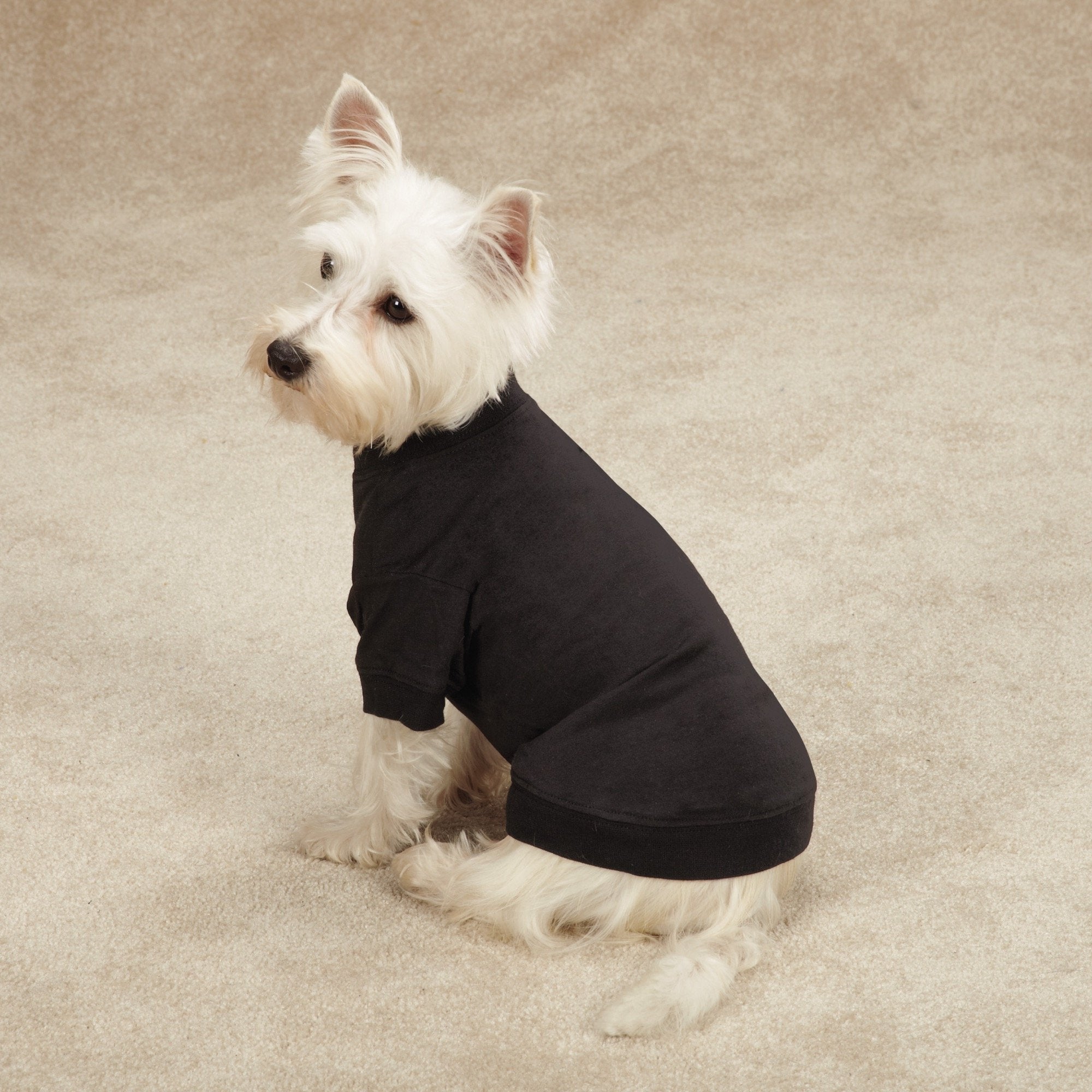 Zack & Zoey Basic Tee Shirt for Dogs, 10 X-Small, Black
