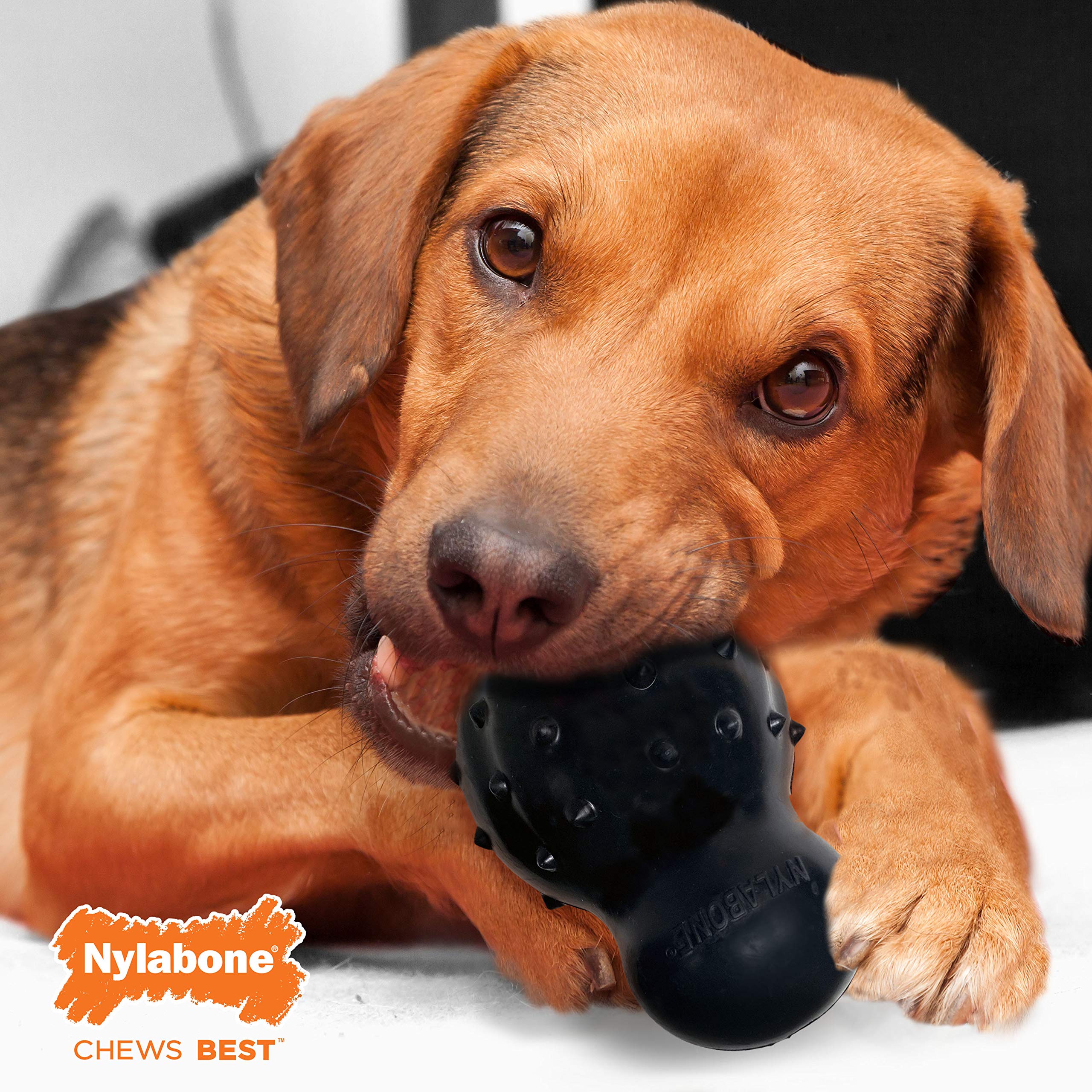 Nylabone Strong Max Chew Cone Stuffable Chew Toy for Dogs, Beef Flavored Fillable Treat Toy, Large/Giant - Up to 50 lbs. (1 Coun