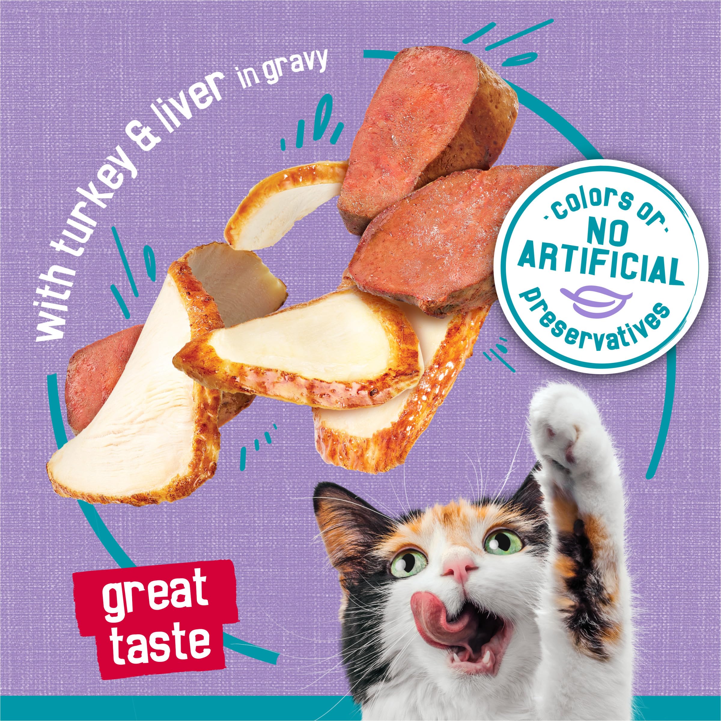 Purina Friskies Wet Cat Food Tasty Treasures With Turkey and Liver in Gravy - (Pack of 24) 5.5 oz. Cans