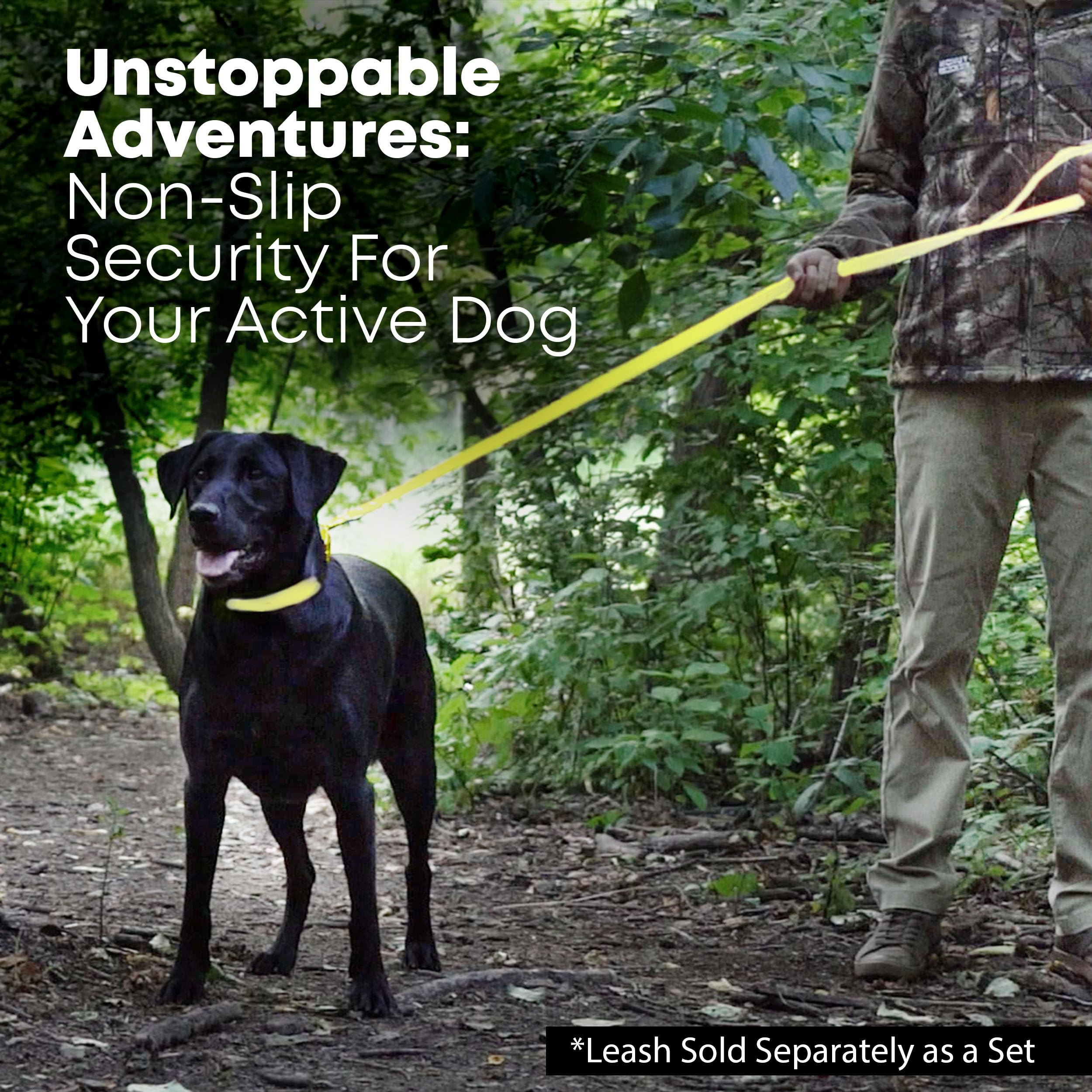 Regal Dog Products Medium Yellow Dog Collar With Heavy Duty Double Buckle & D Ring | Vinyl Coated, Custom Fit, Adjustable Biotha