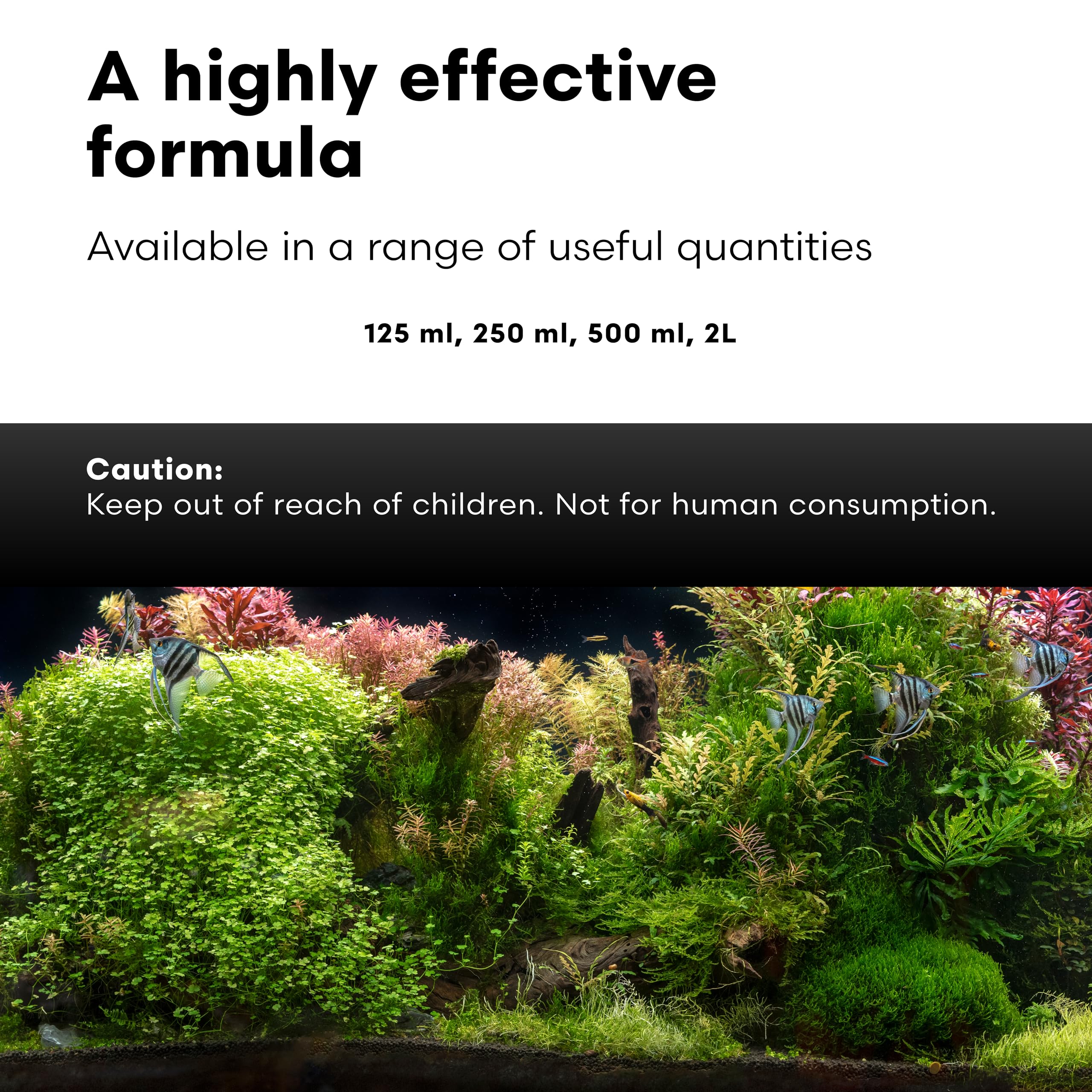 Brightwell Aquatics Caridina GH+ Mineral Supplement Restores Calcium Magnesium Potassium Sodium in Soft RO/DI Water for Shrimp B