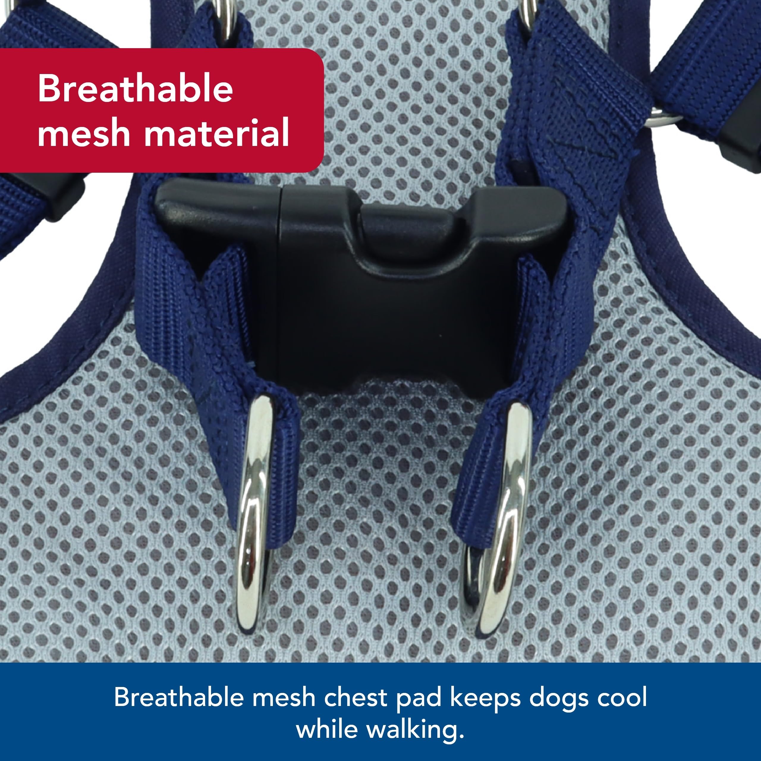 Coastal Pet Ribbon Designer Wrap Adjustable Dog Harness - Large & Small Dog Harness - Breathable Mesh Harness For Dogs Pet Suppl