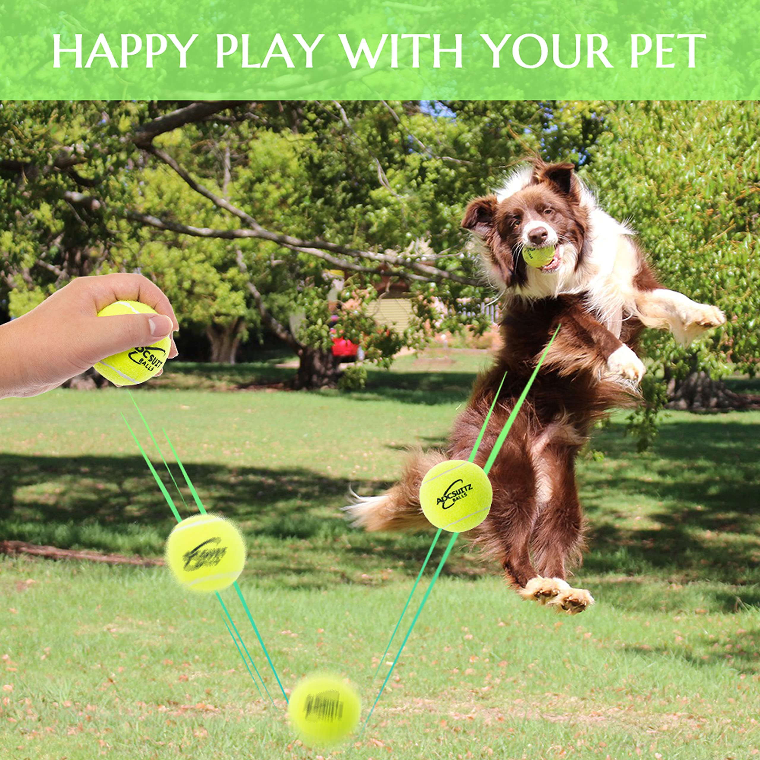 Adcsuitz Dog Tennis Balls - 12 Pack Squeaky Interactive Dog Toys Balls For Training Exercise Playing Indoor Outdoor - 2.5'' Funn