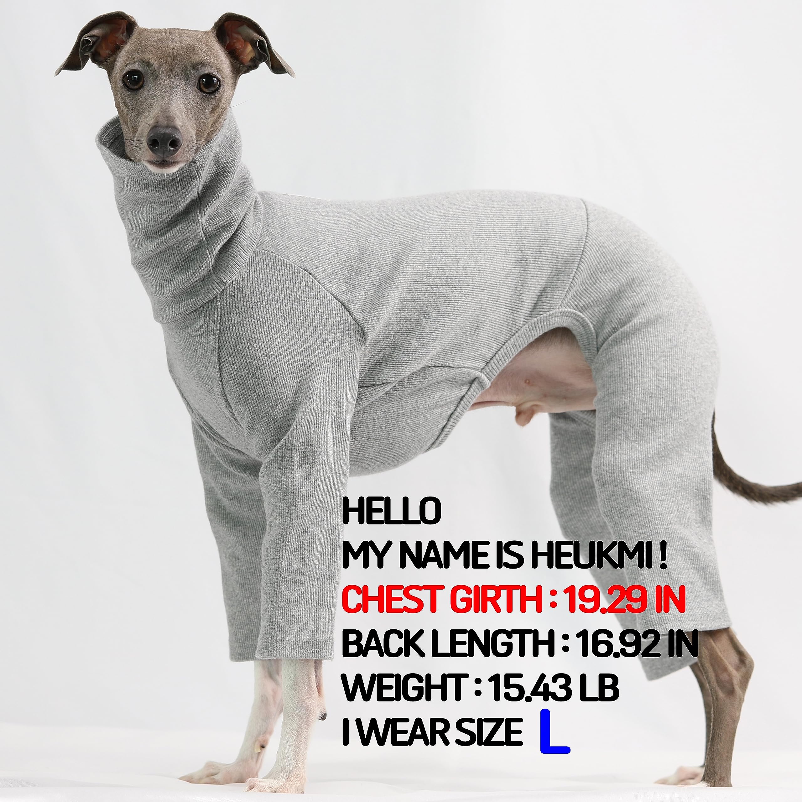 D Doggy Star Italian Greyhound Clothes Stretchable Onesie Whippet For Dog (M,Ribbed Grey)