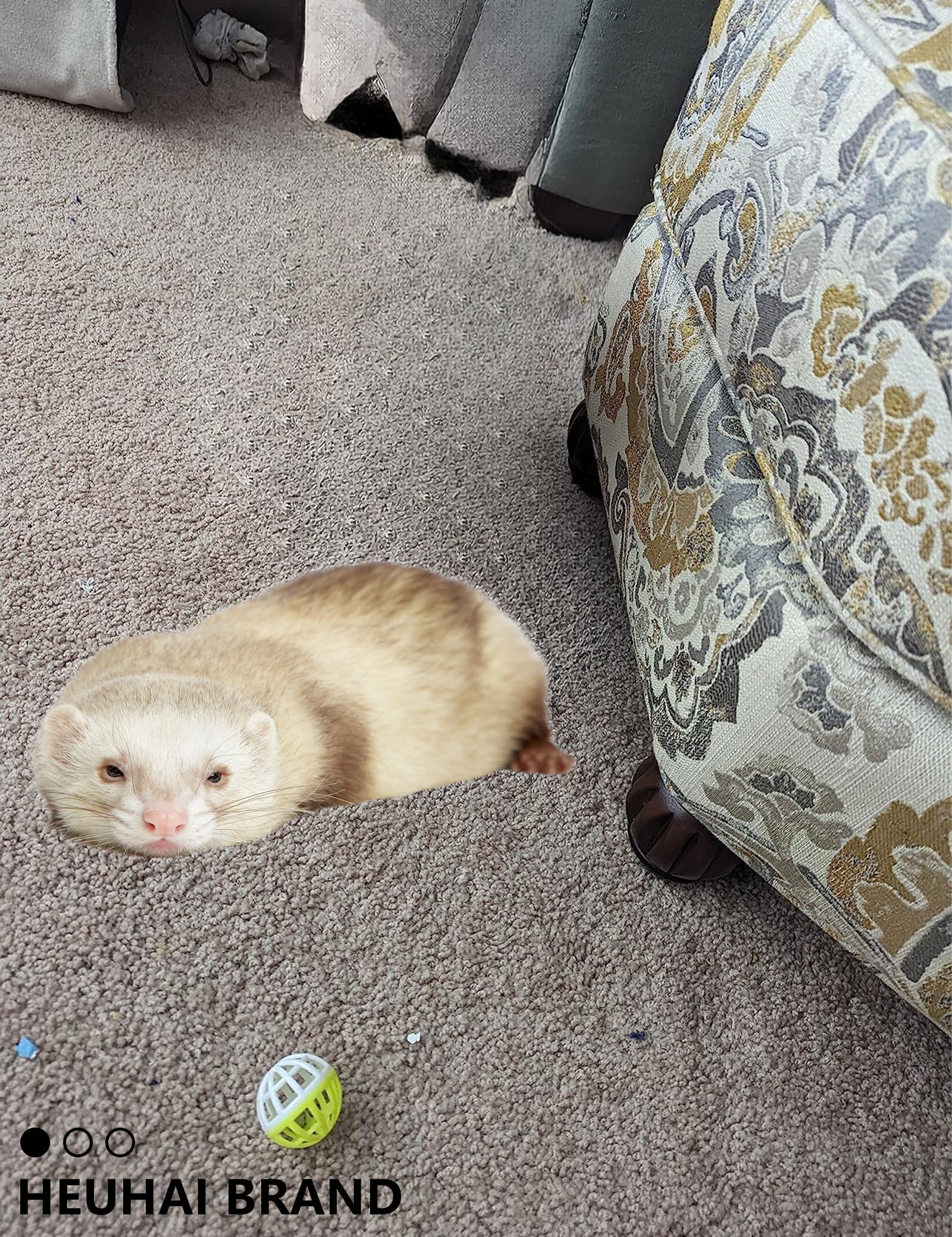 Ferret Toys 10-Pack Bell Balls, Sturdy & Attractive, Interactive Crinkle Sounds, Easy Clean, Safe Pp, Teeth Health, Indoor/Outdo