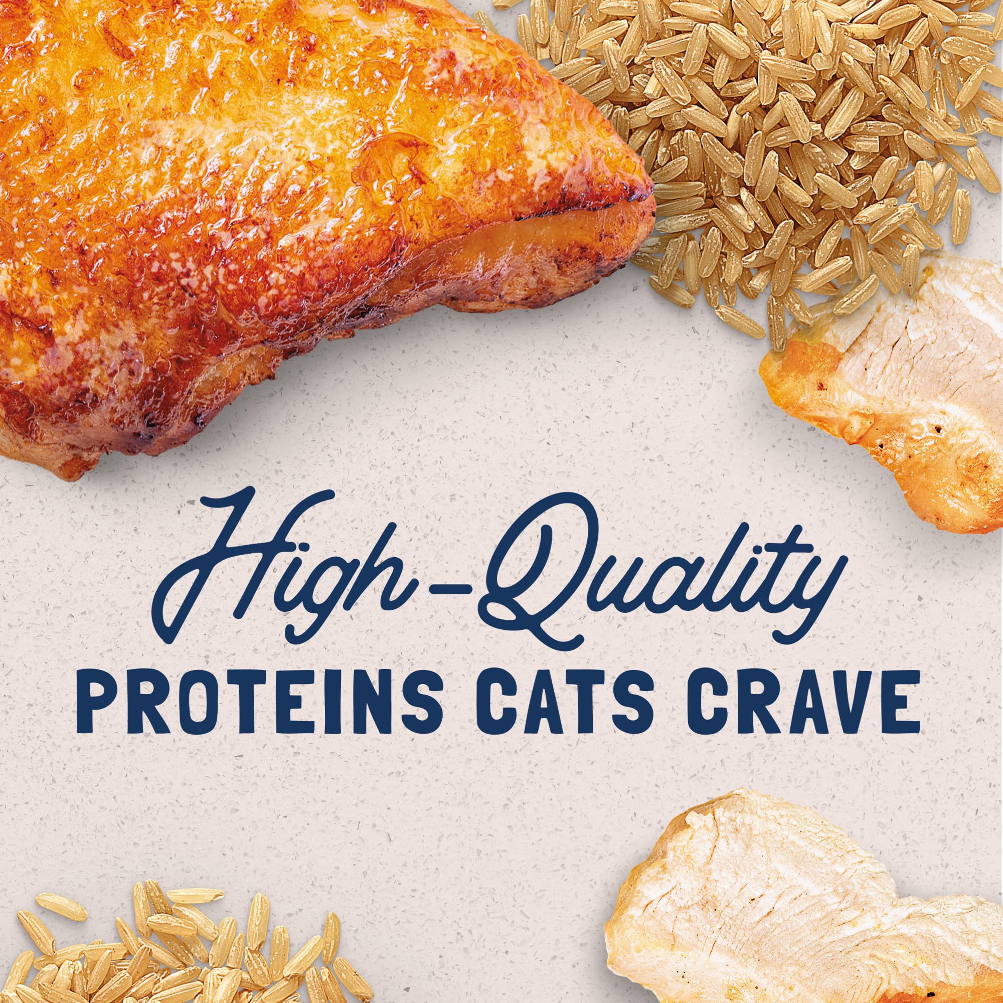Natural Balance Original Ultra Adult Wet Canned Cat Food, Chicken & Liver Recipe 5.5 Ounce (Pack of 24)