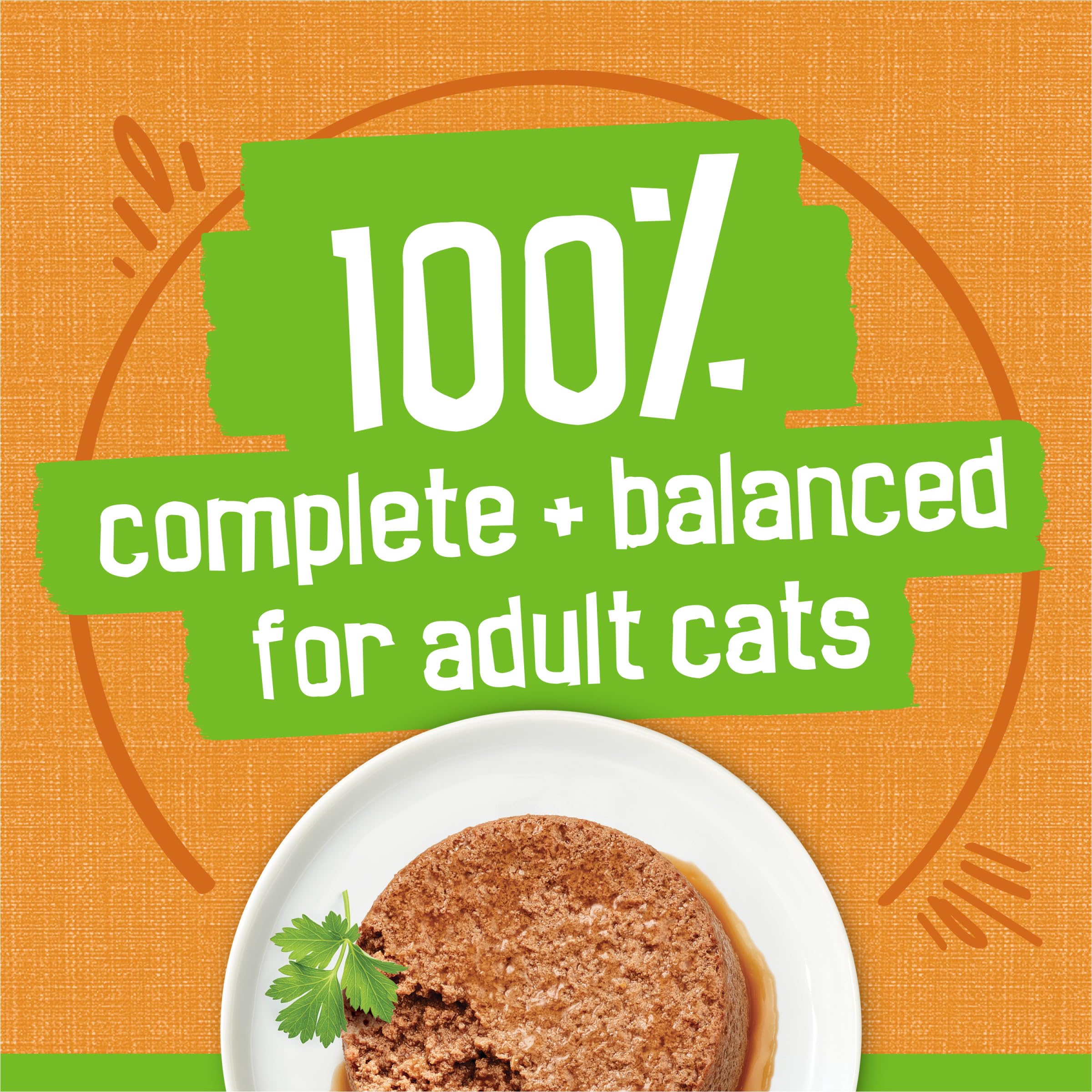 Purina Friskies Wet Cat Food Pate, Liver and Chicken Dinner - (Pack of 24) 5.5 oz. Cans