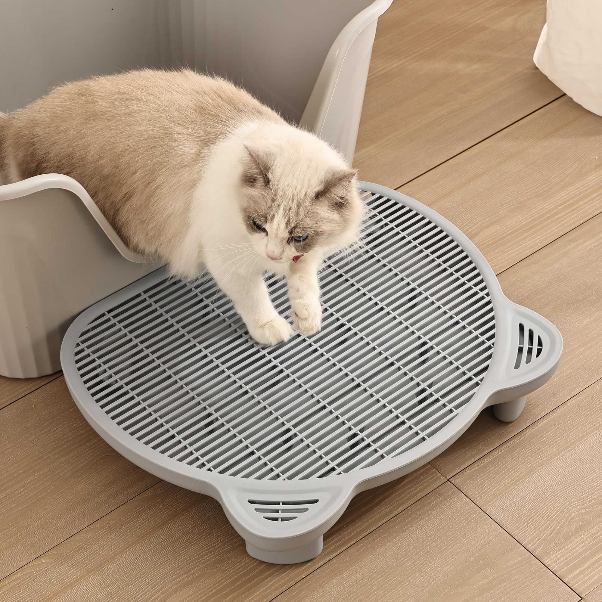 Beleewilwon Litter Box Step,Cat Ramp With Filter Function,Elevated For Old And Kitten,2 Heights Suitable For Various Litter Boxe