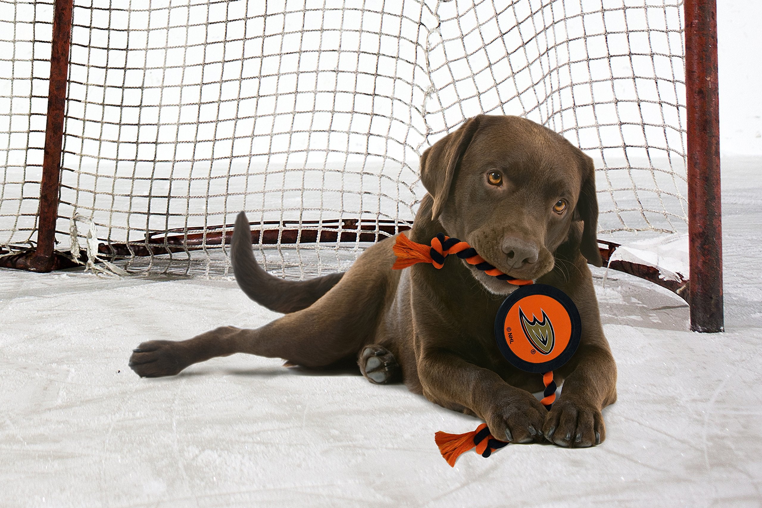First Dog Puck Rubber Toy - Heavy-Duty Rope Tug for Dogs & Cats - Play Hockey with Your Pet - NHL Anaheim Ducks Licensed Toy