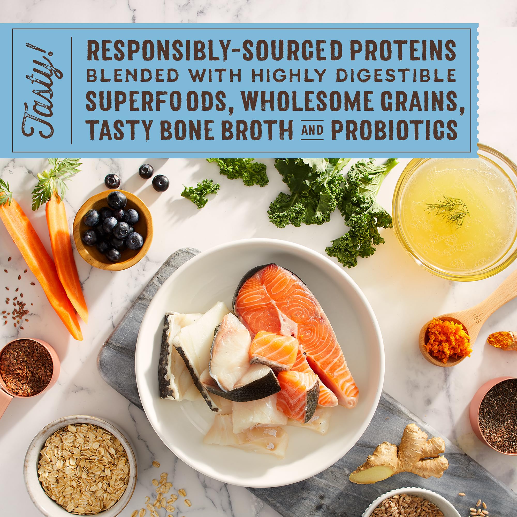 Stella & Chewys SuperBlends Raw Coated Wholesome Grains Wild-Caught Whitefish & Salmon Recipe with Superfoods, 21 lb. Bag
