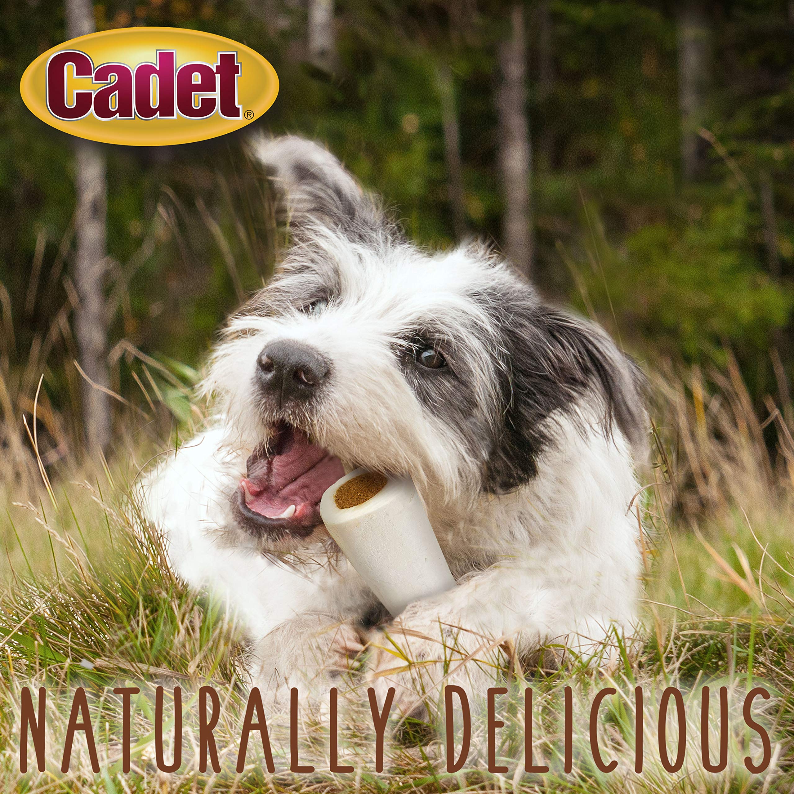Cadet Junior Stuffed Shin Bones - Highly Digestible, High Protein, Long-Lasting Dog Chew Bone for Aggressive Chewers, Supports D