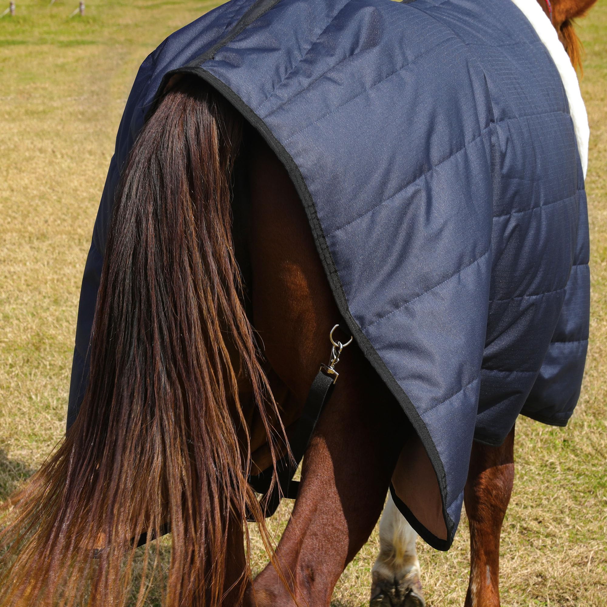 Hombys Heavy Duty Winter Horse Blanket - Waterproof, Super Warm With Flannel Backing - Navy Blue, 75 X 60 600D High Density