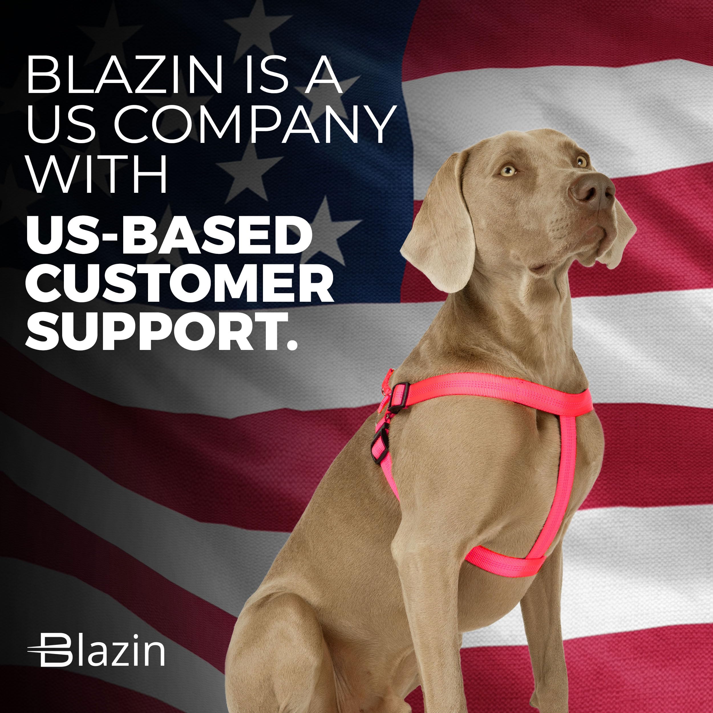 Blazin No Pull Dog Harness - Adjustable Step-In Reflective Nylon Vest Harness - Neoprene Padded For Extra Comfort (Small, Pink)