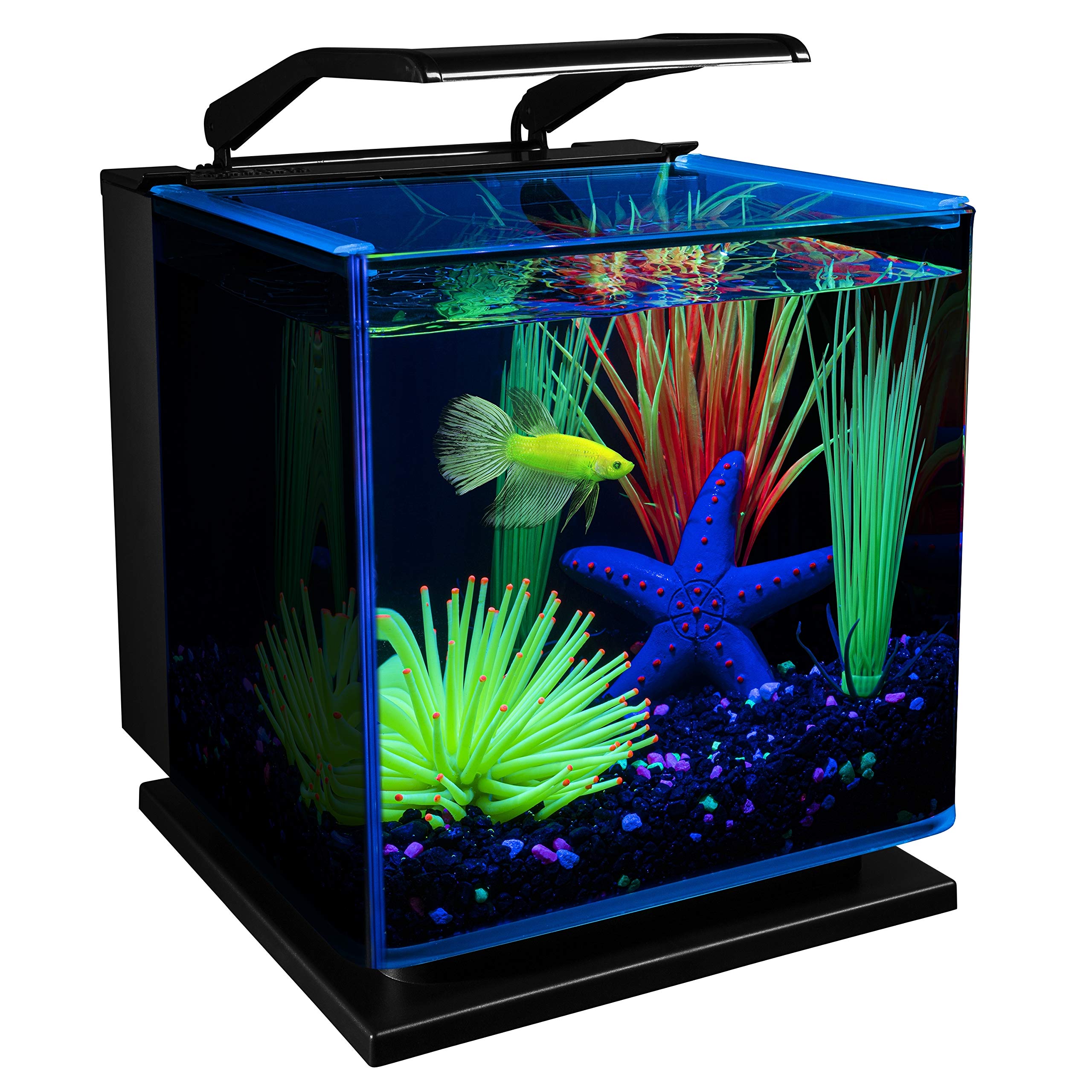 GloFish Betta Shadowbox Aquarium Kit 3 Gallons, Includes LED Lighting And Filter