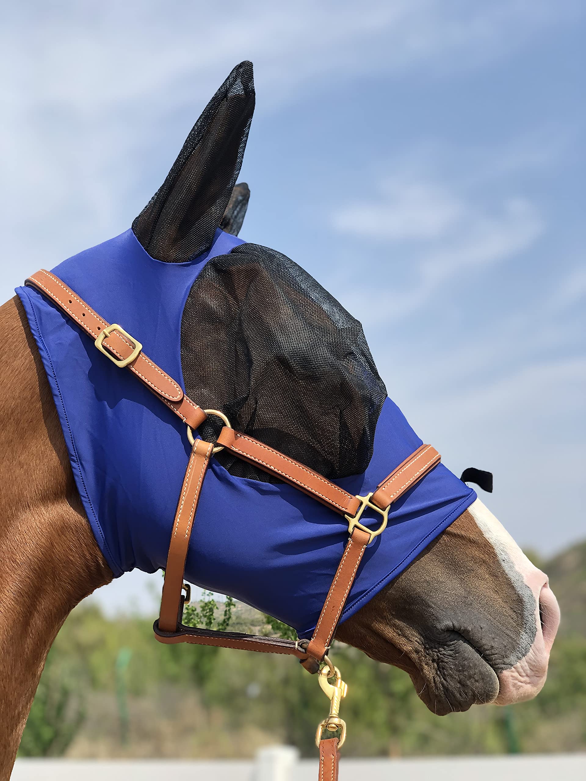 Horse Fly Mask Super Comfort Horse Fly Mask Elasticity Fly Mask with Ears We Only Make Products That Horses Like (DK Blue, M)