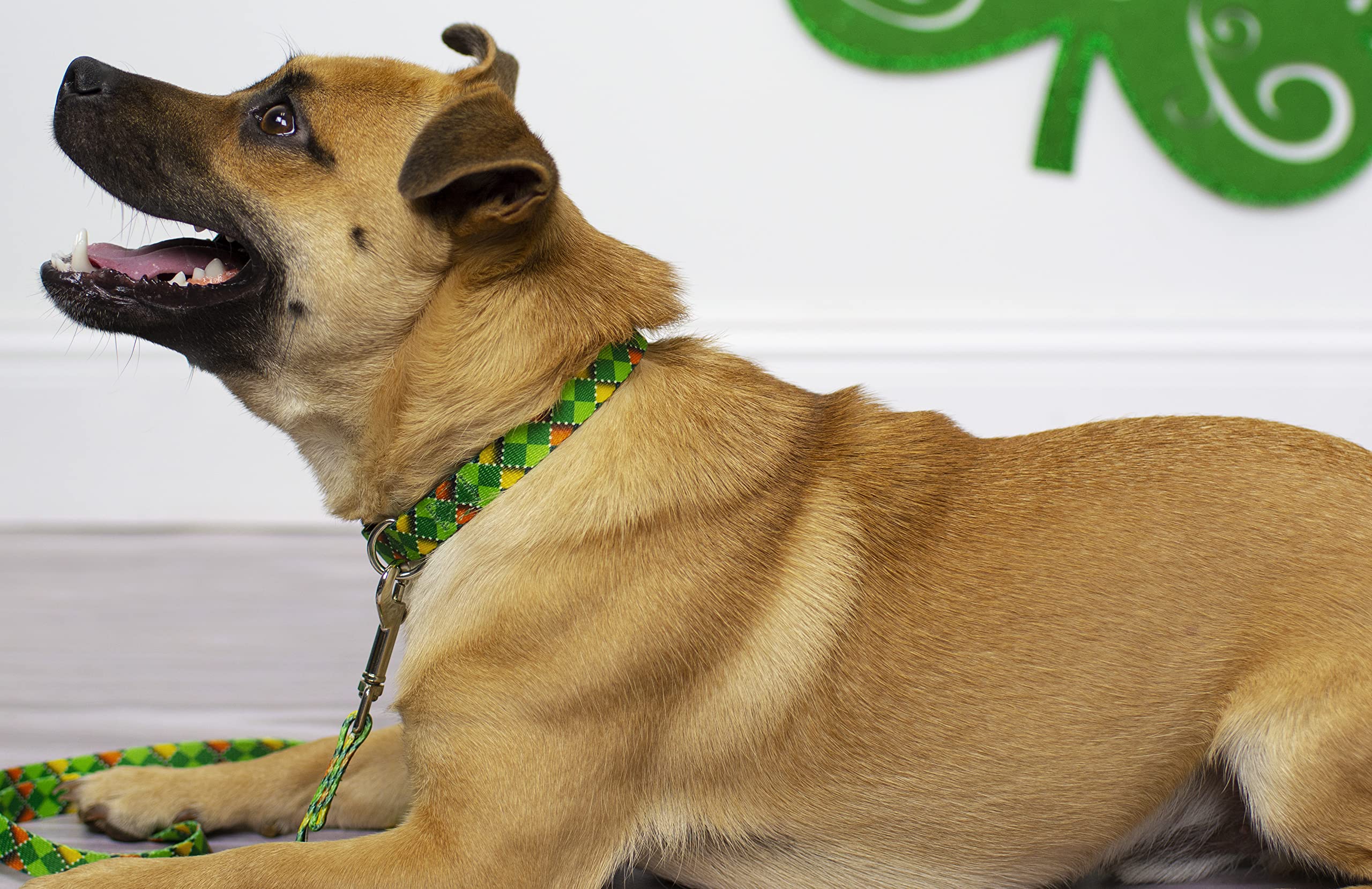 Country Brook Petz - Premium Limerick Argyle Dog Collar - Irish Pride Collection Featuring Lucky Designs (1 Inch, Medium)