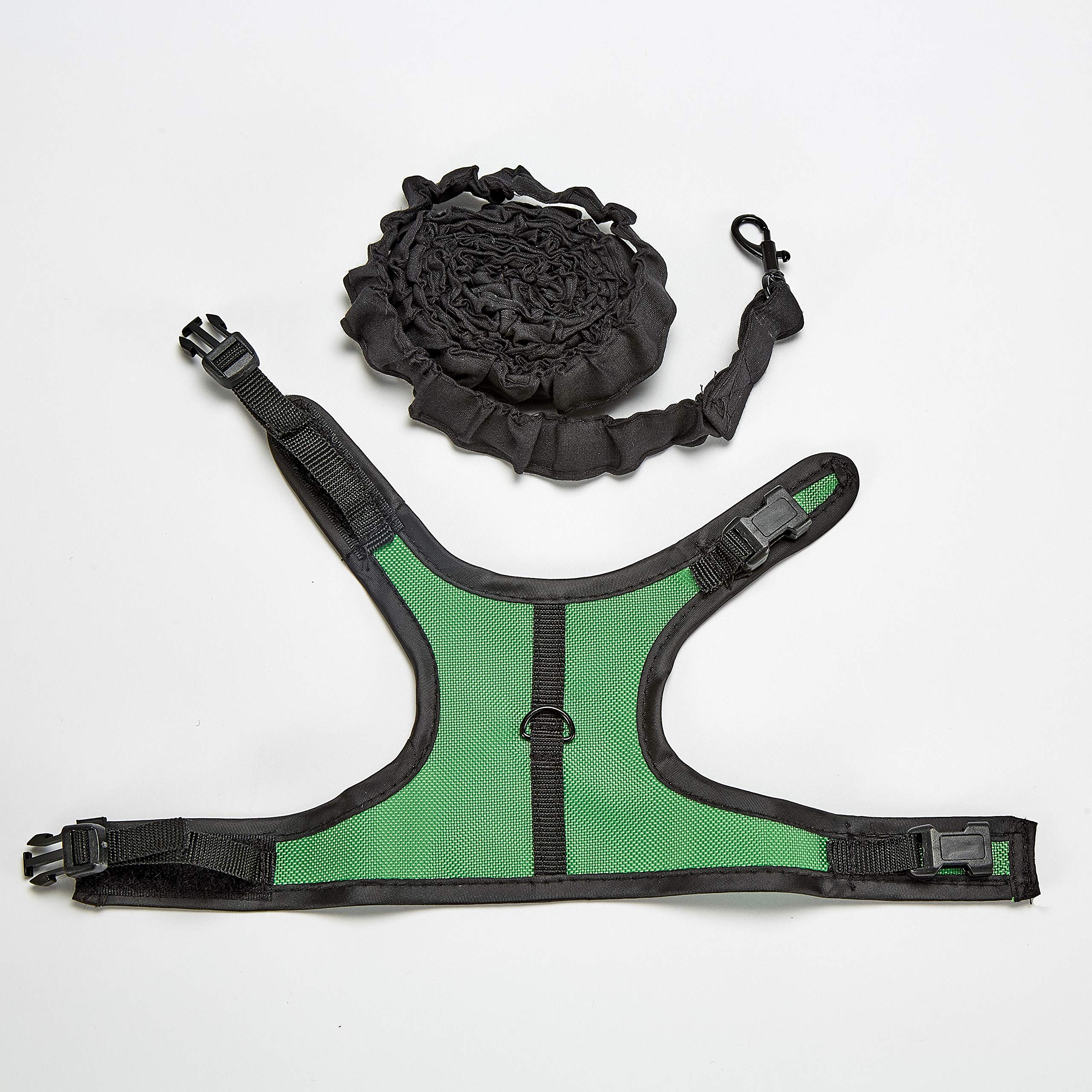 Kaytee Comfort Harness & Stretchy Leash, Medium