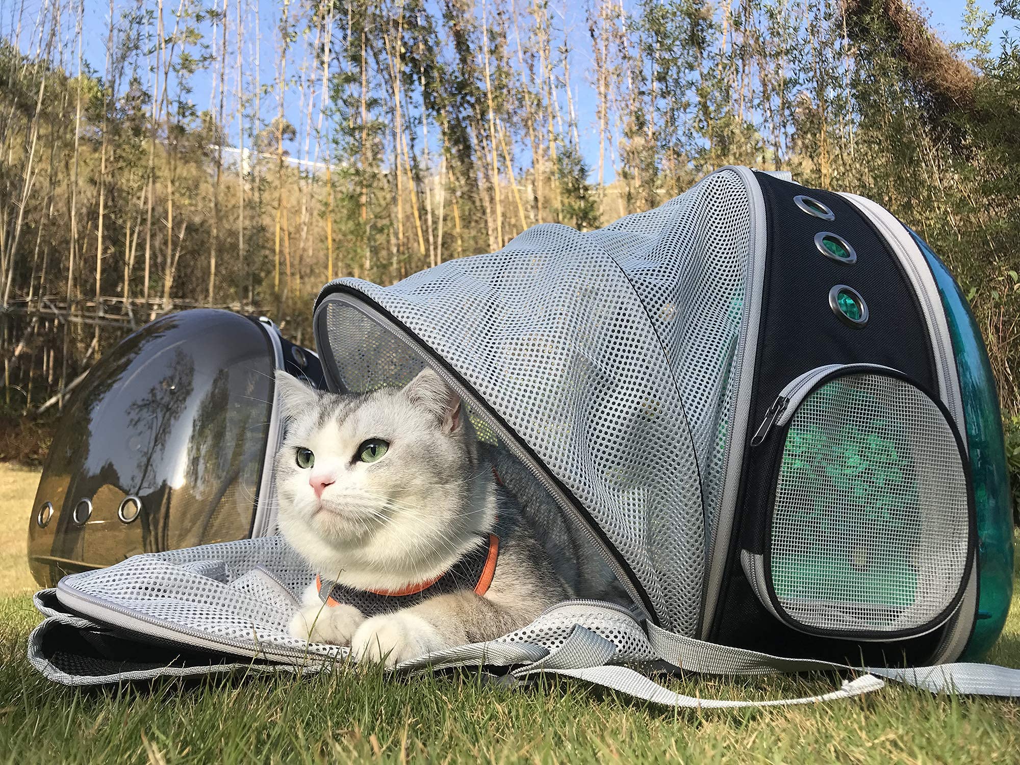 Cat Backpack Carrier, Expandable Space Capsule Polarized Pet Carrier For Kitten And Small Dog, Pet Carrying Hiking Traveling Bac